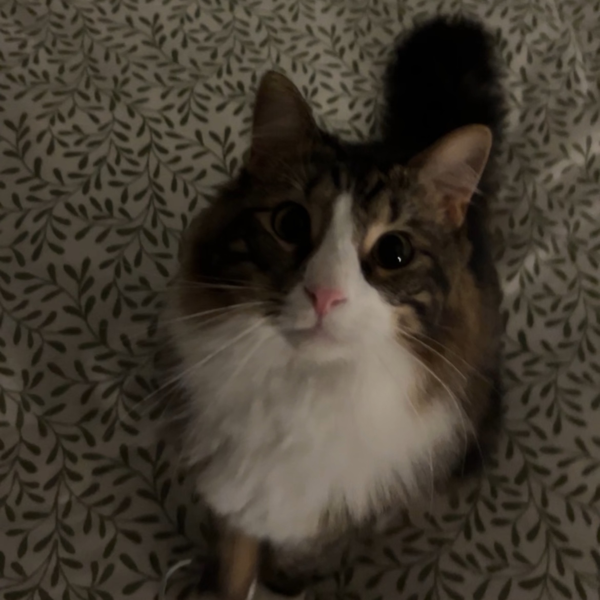 Mr Winston