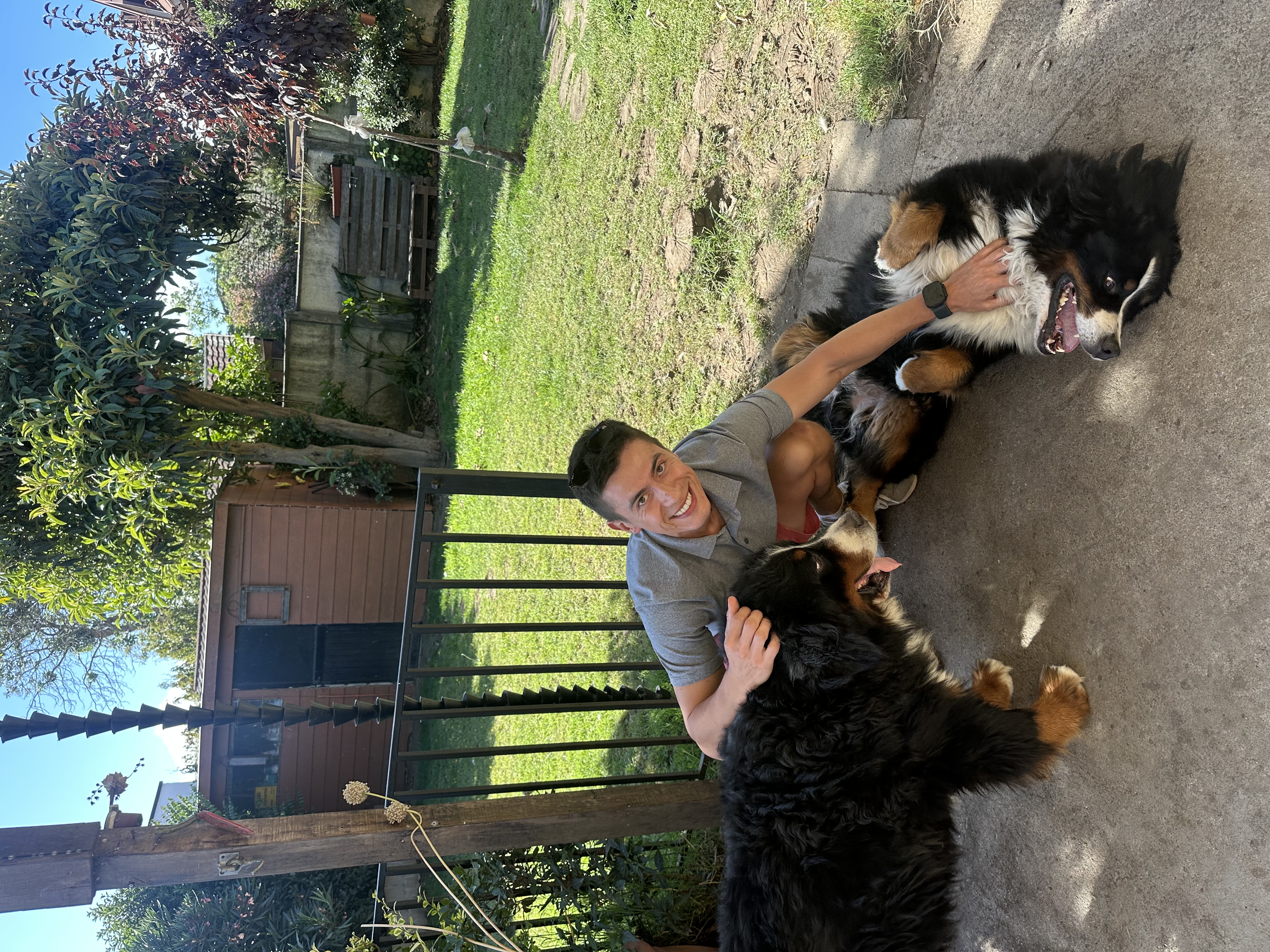 image-4
