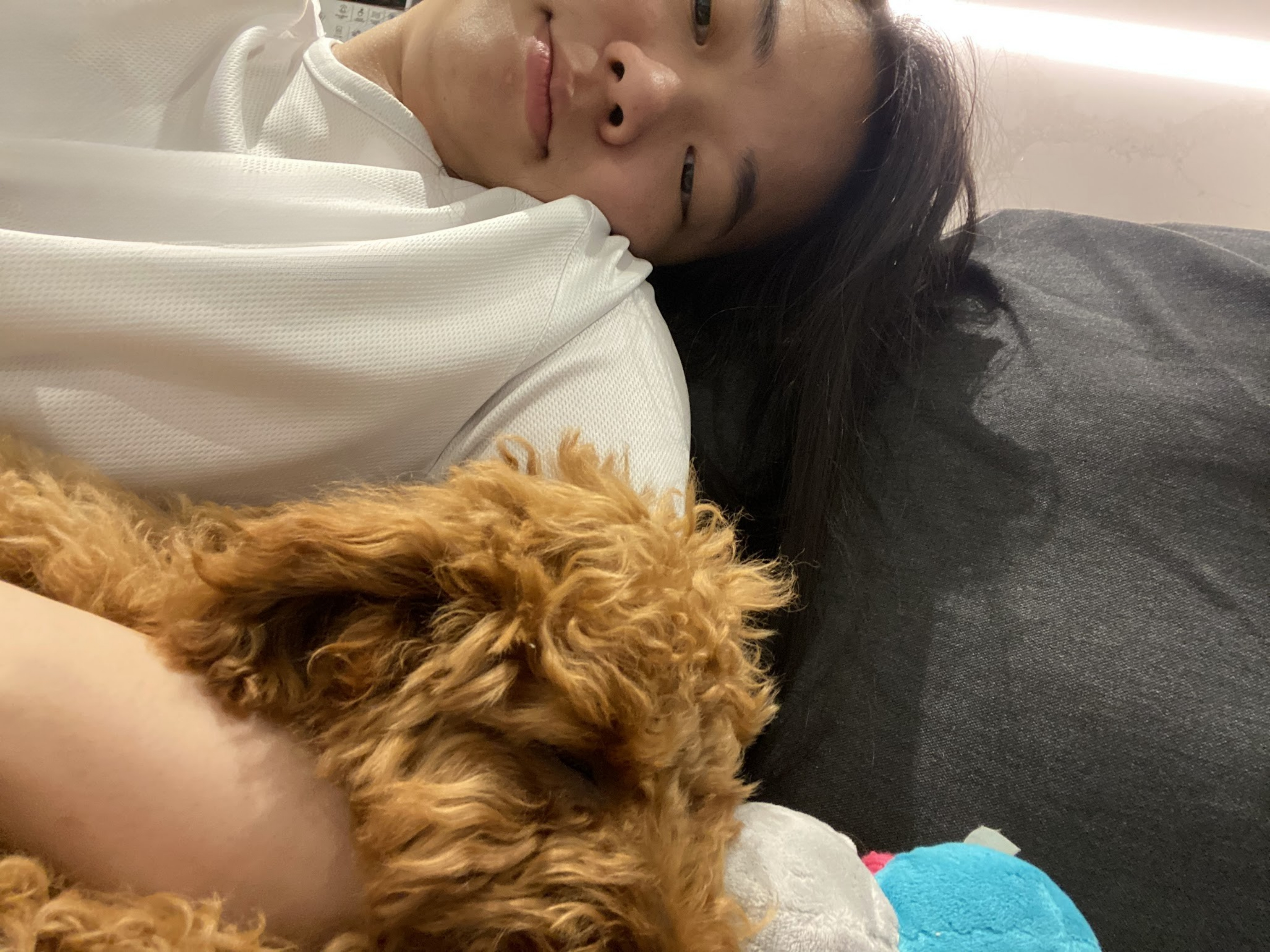 image-6