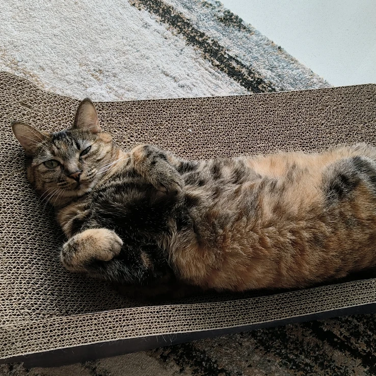 Piki