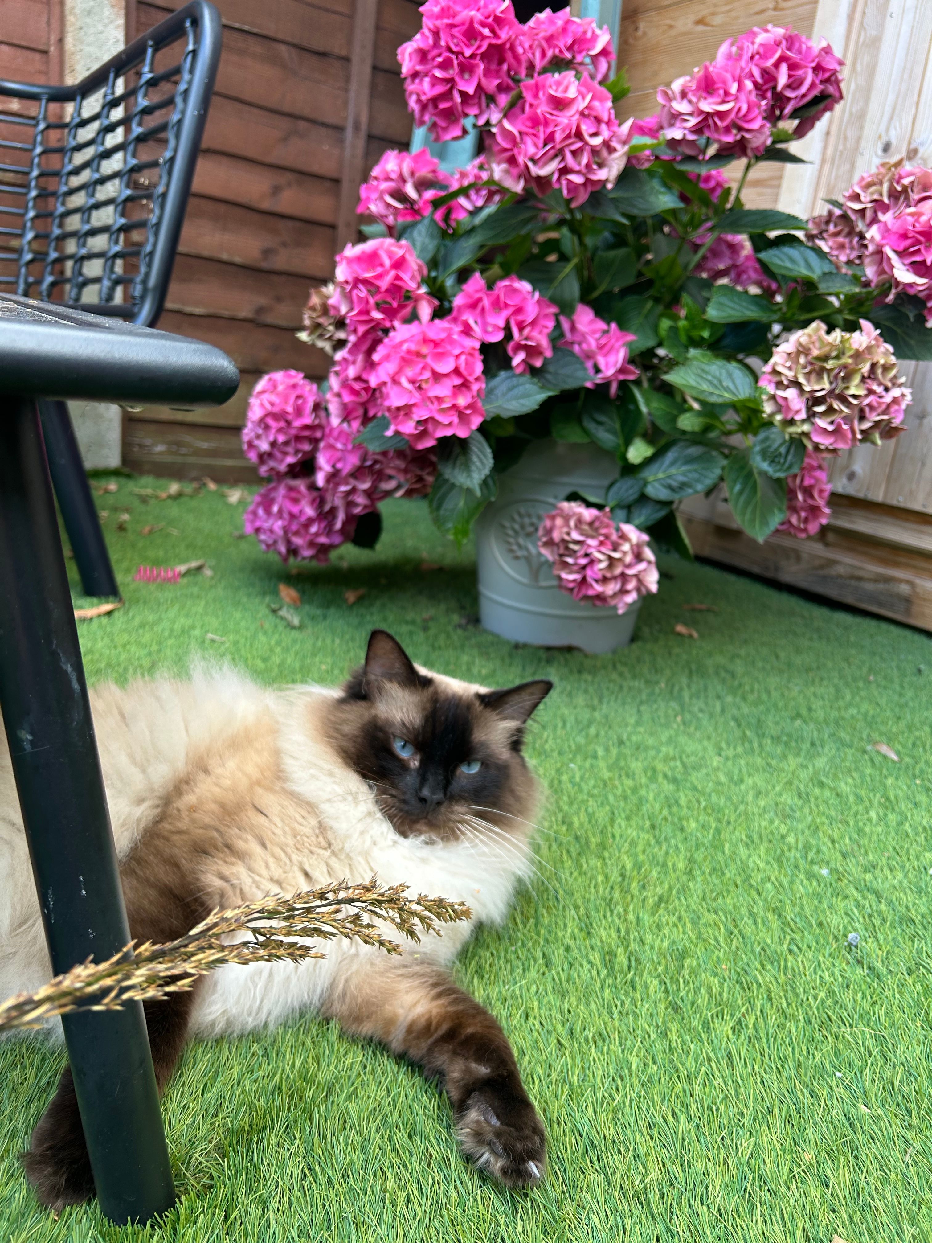 image-34