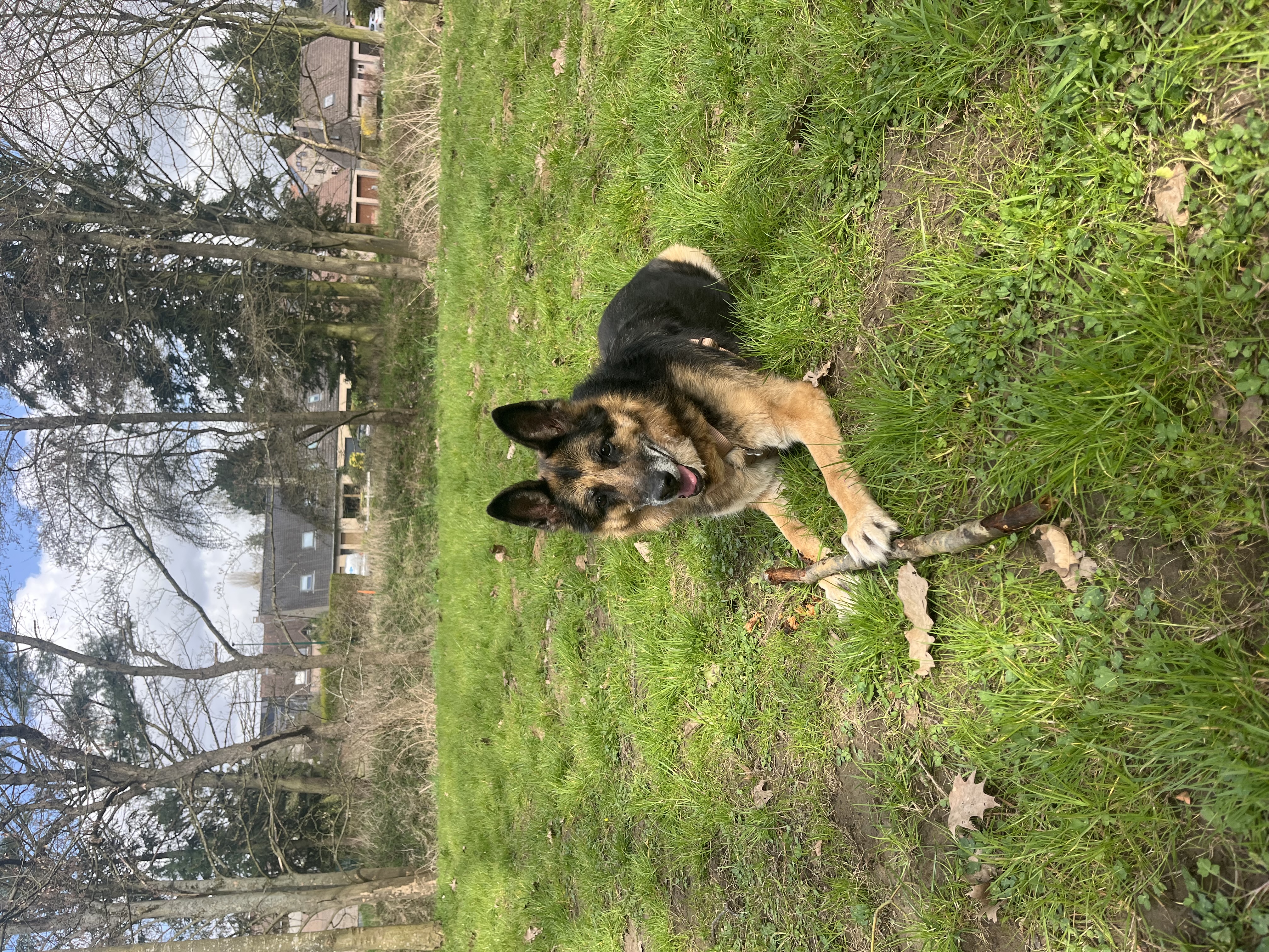 image-7