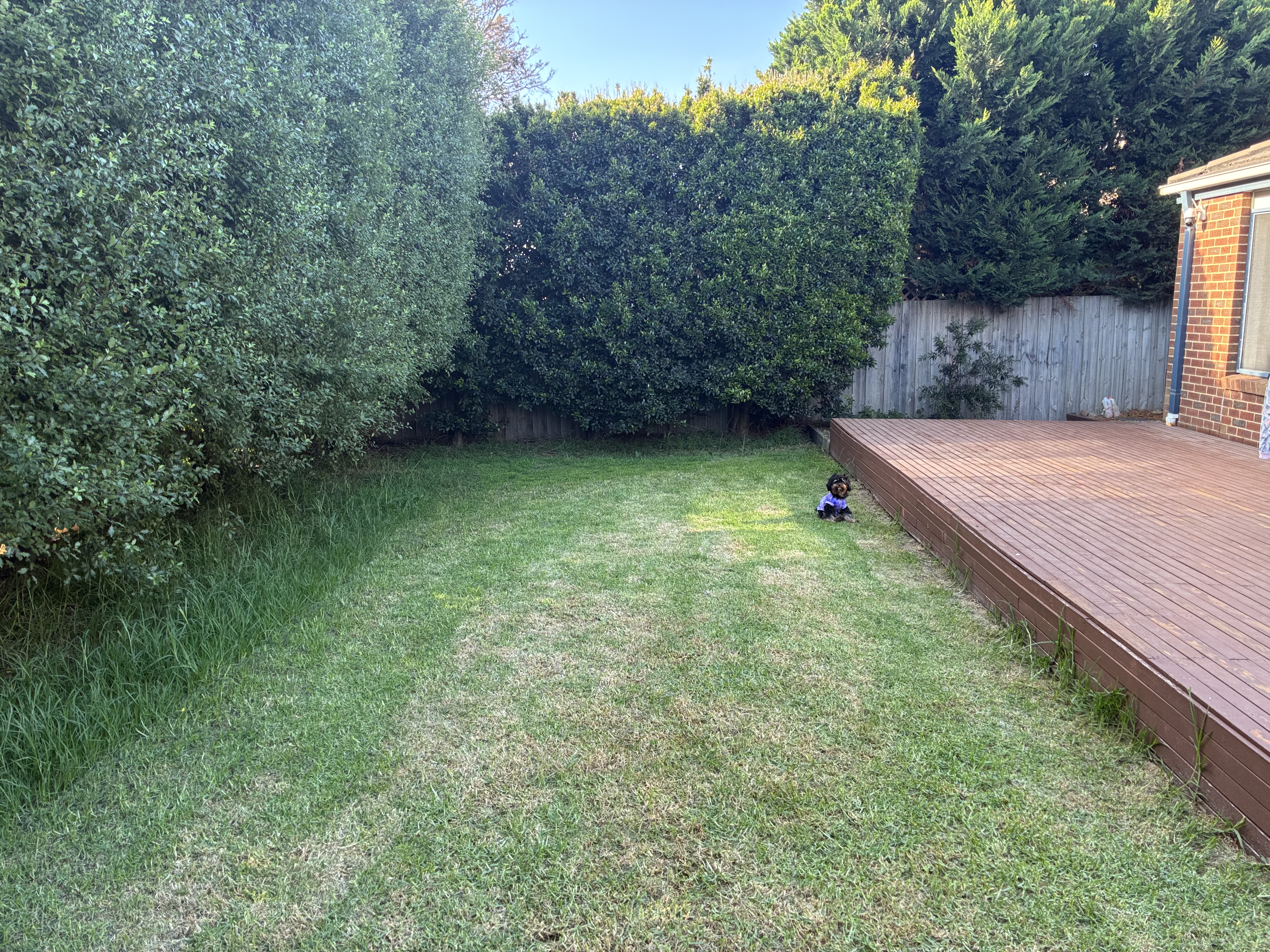 image-13