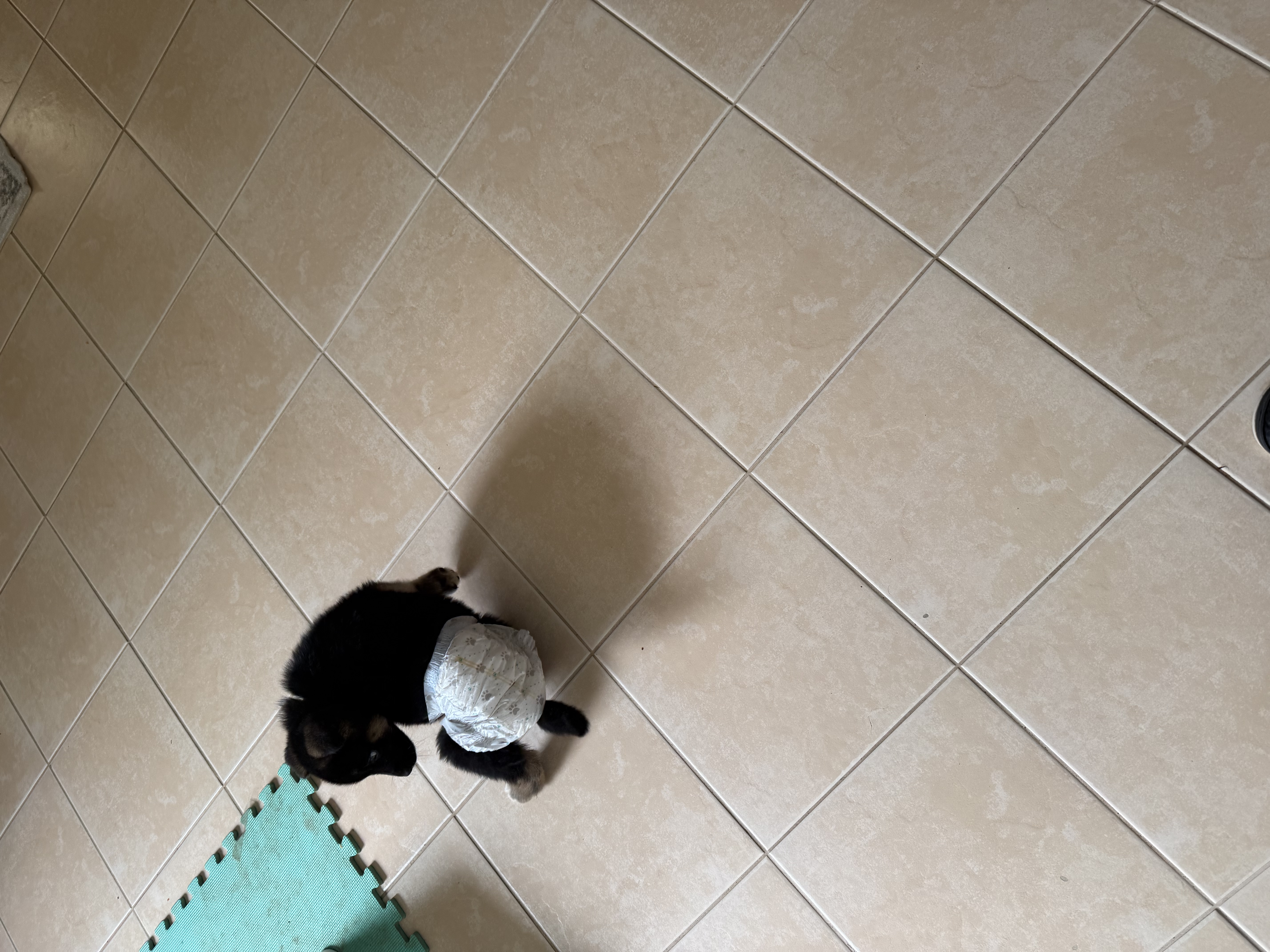 image-7