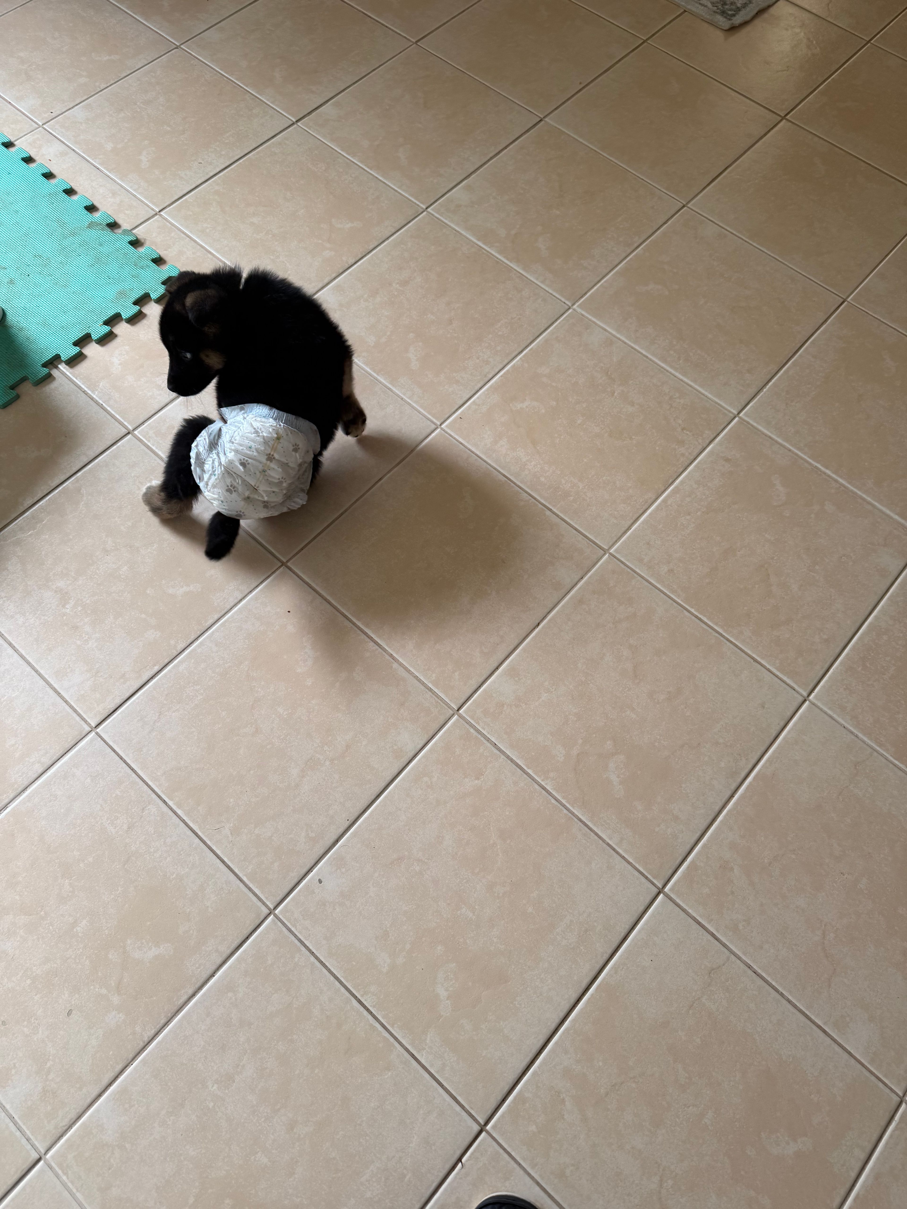 image-7