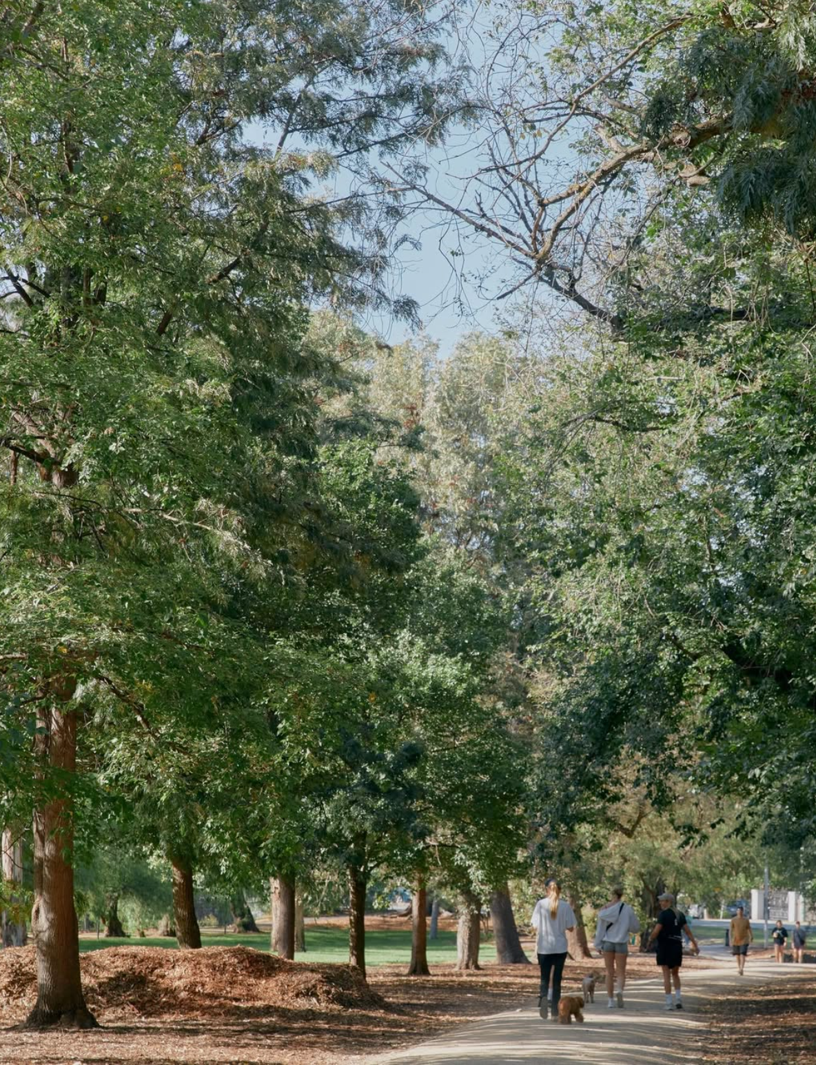 image-18