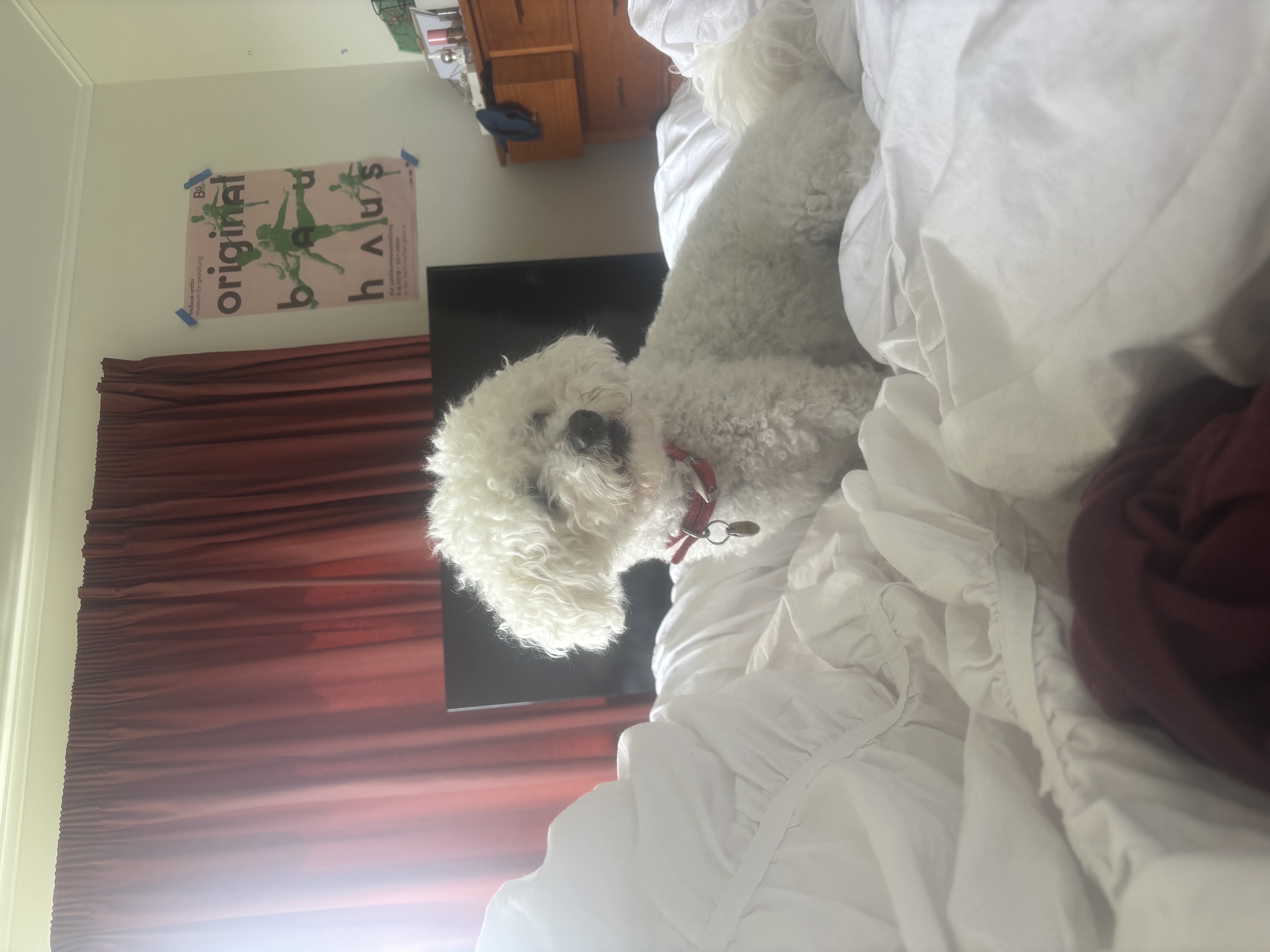 image-7