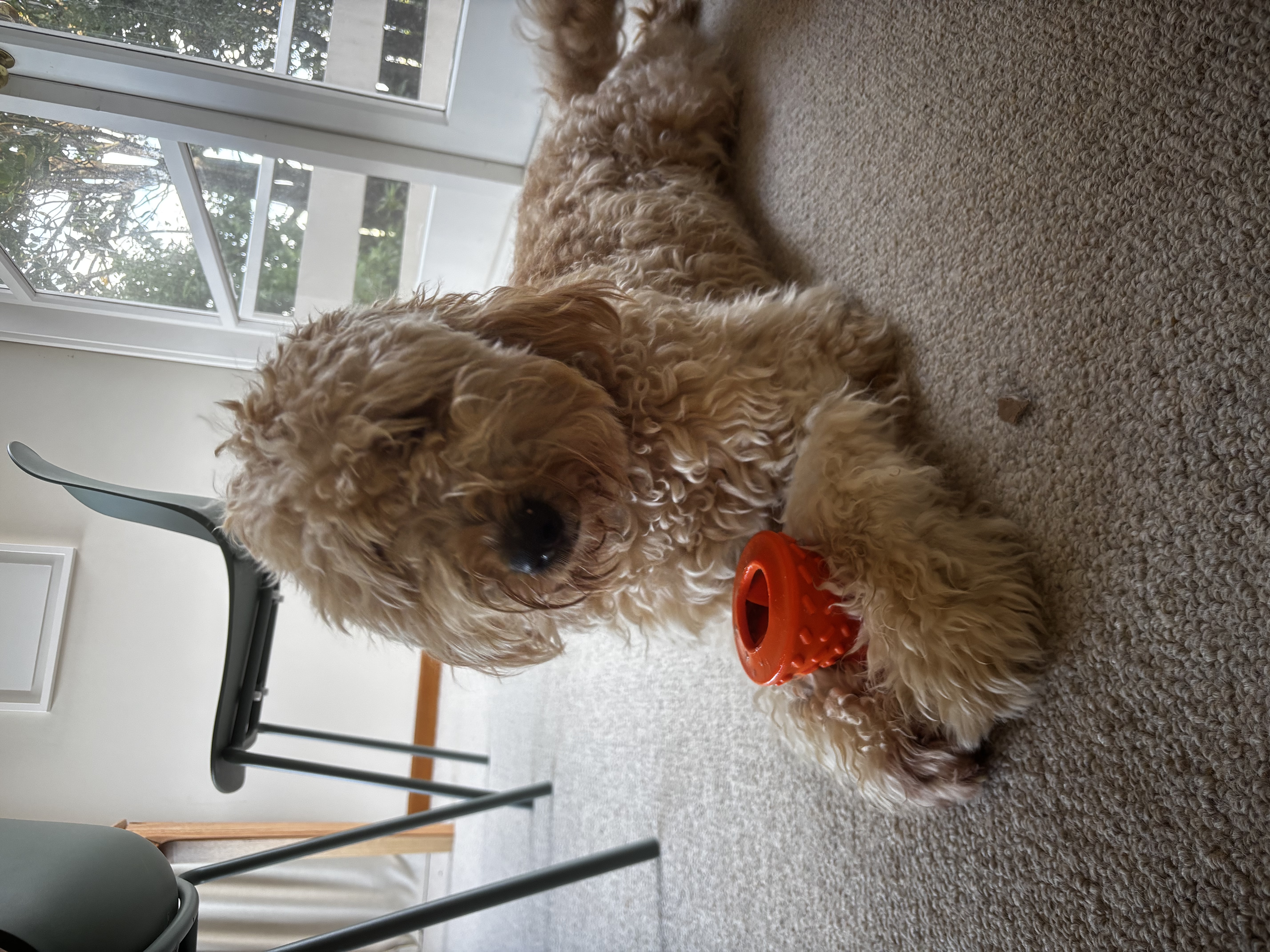 image-4