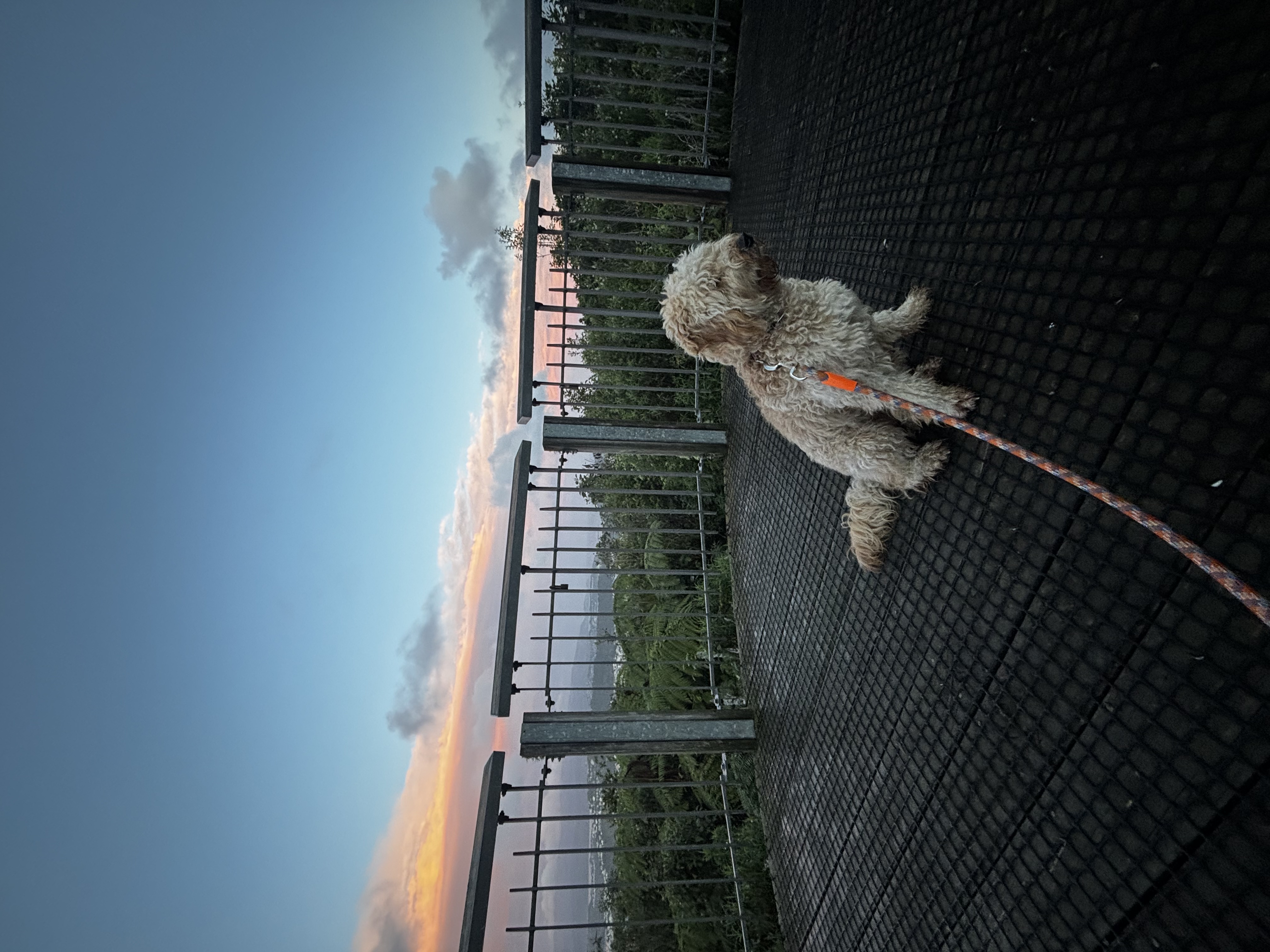 image-5