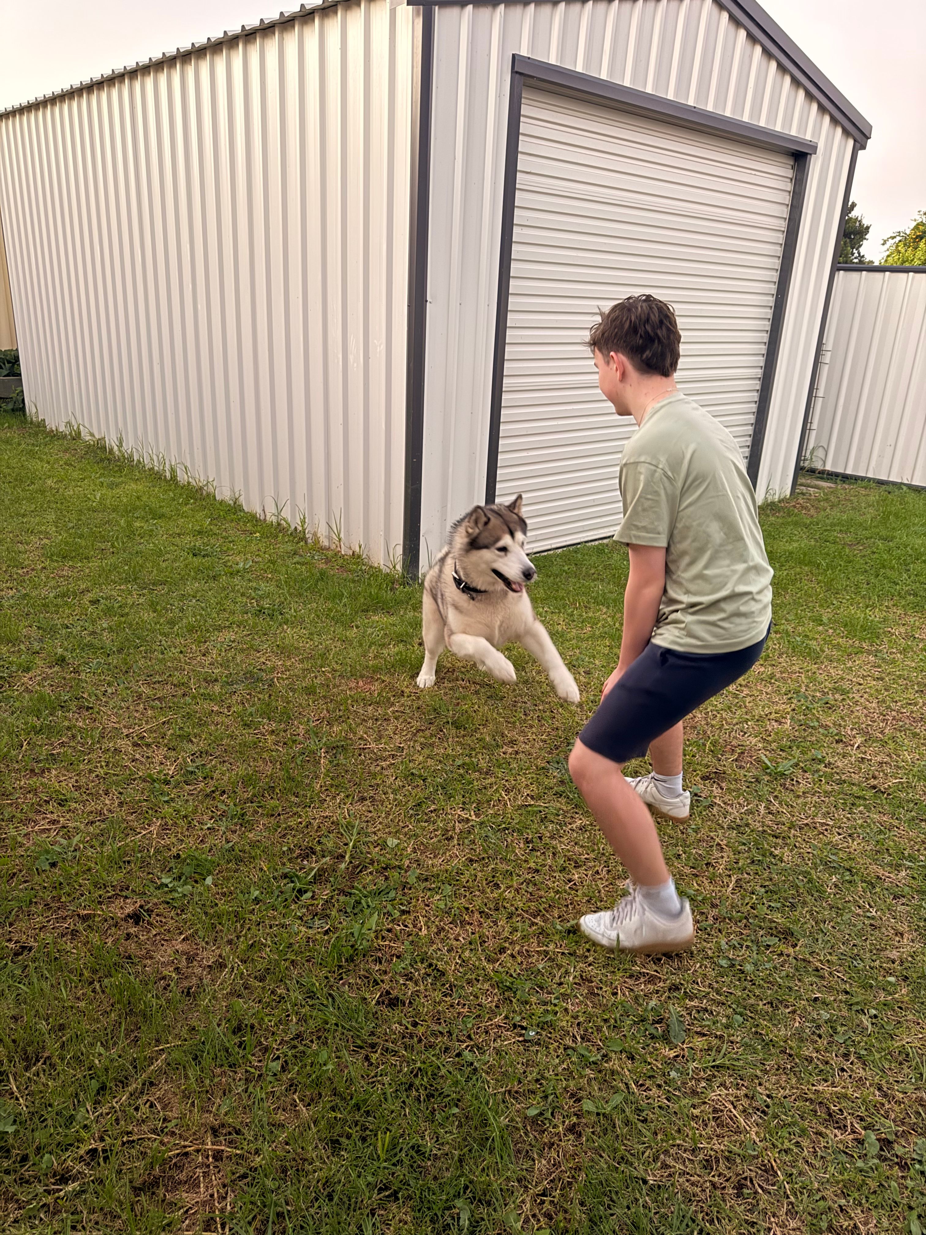 image-9