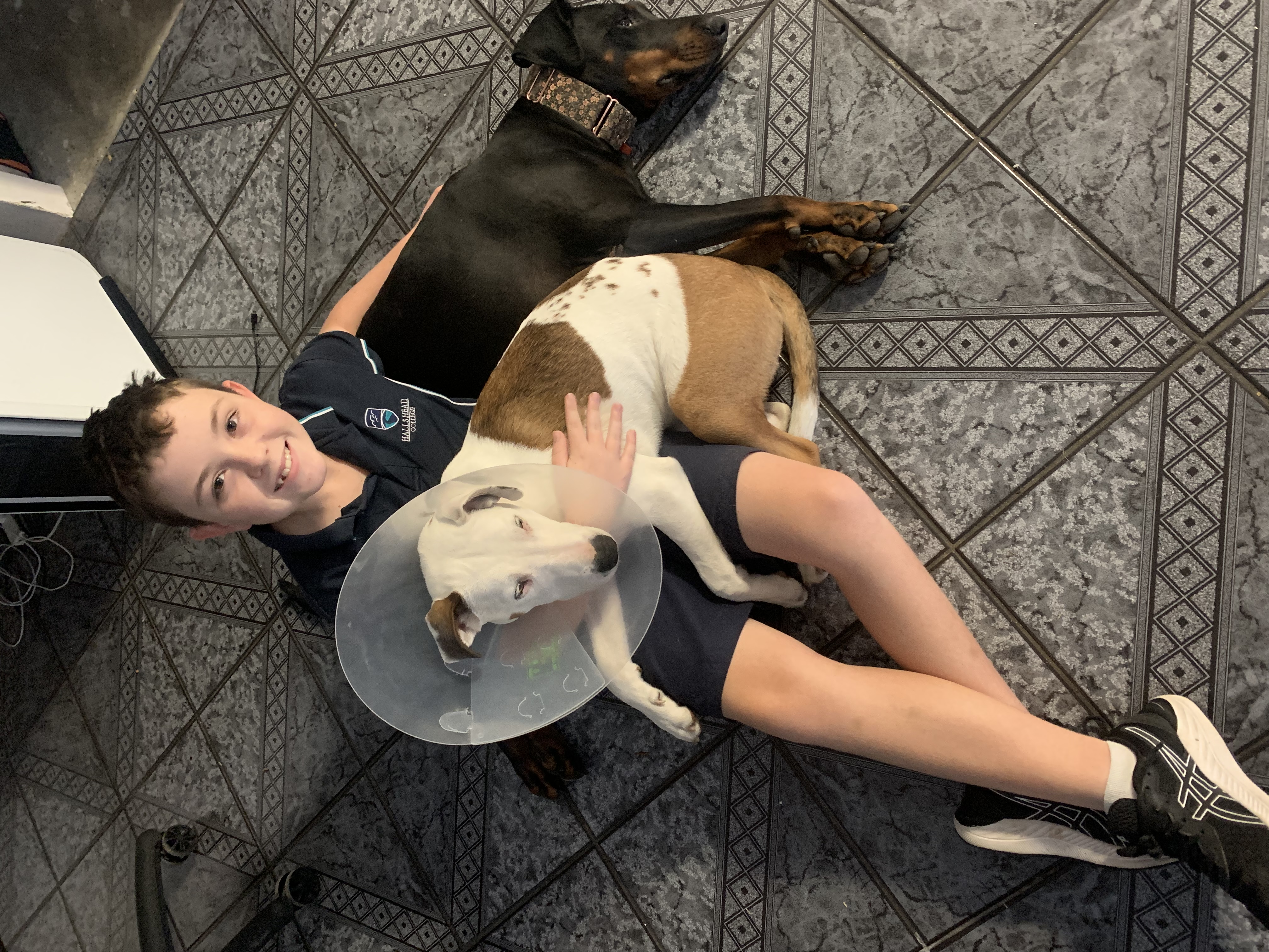 image-11