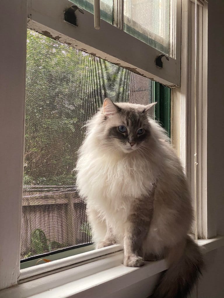 Hunter