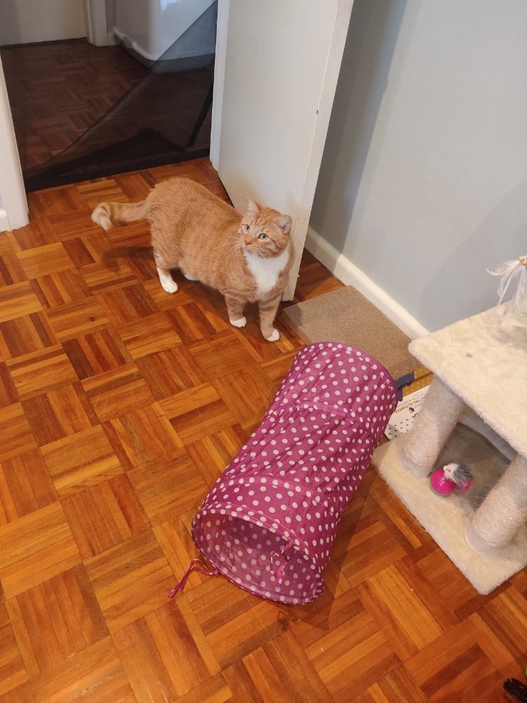 image-14