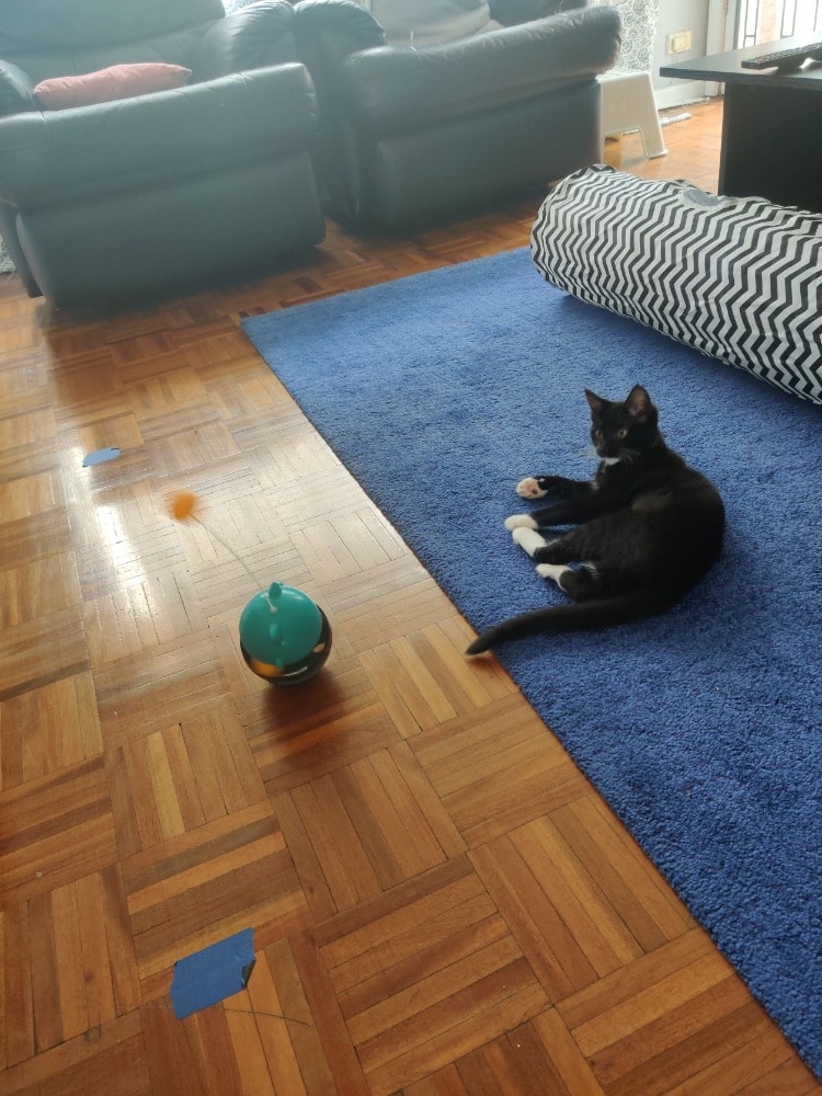 image-7