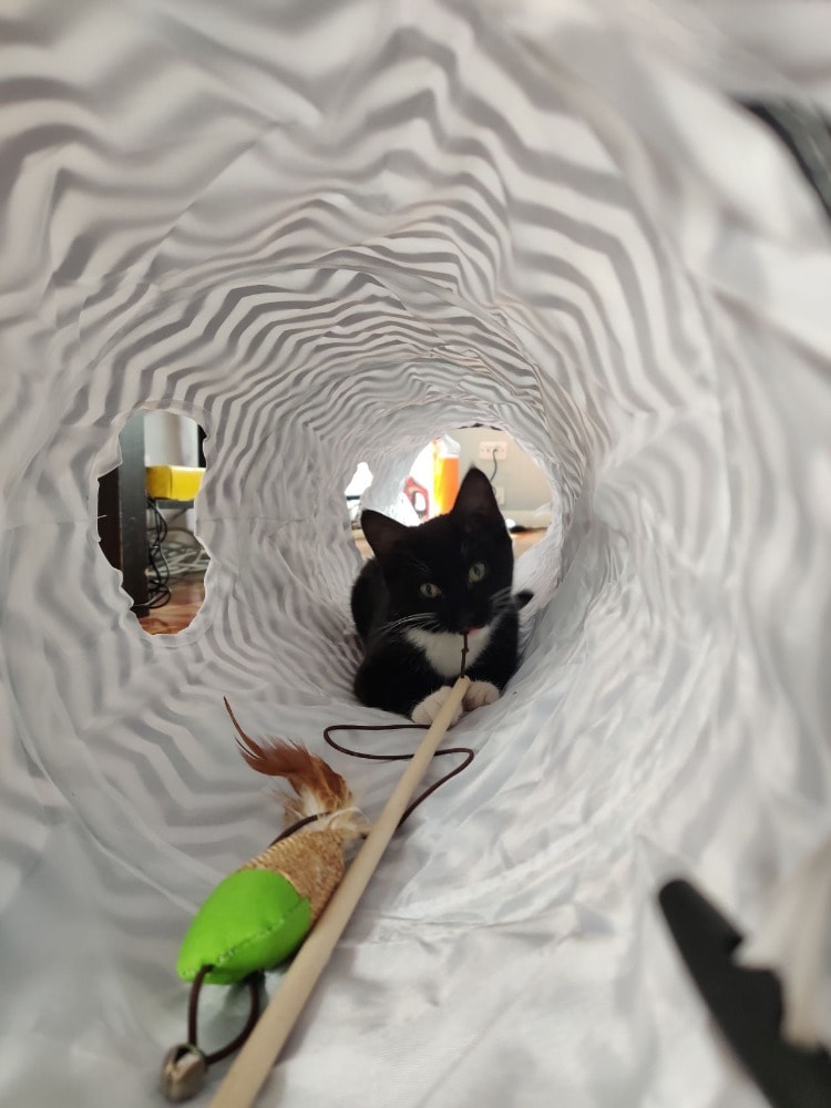 image-6