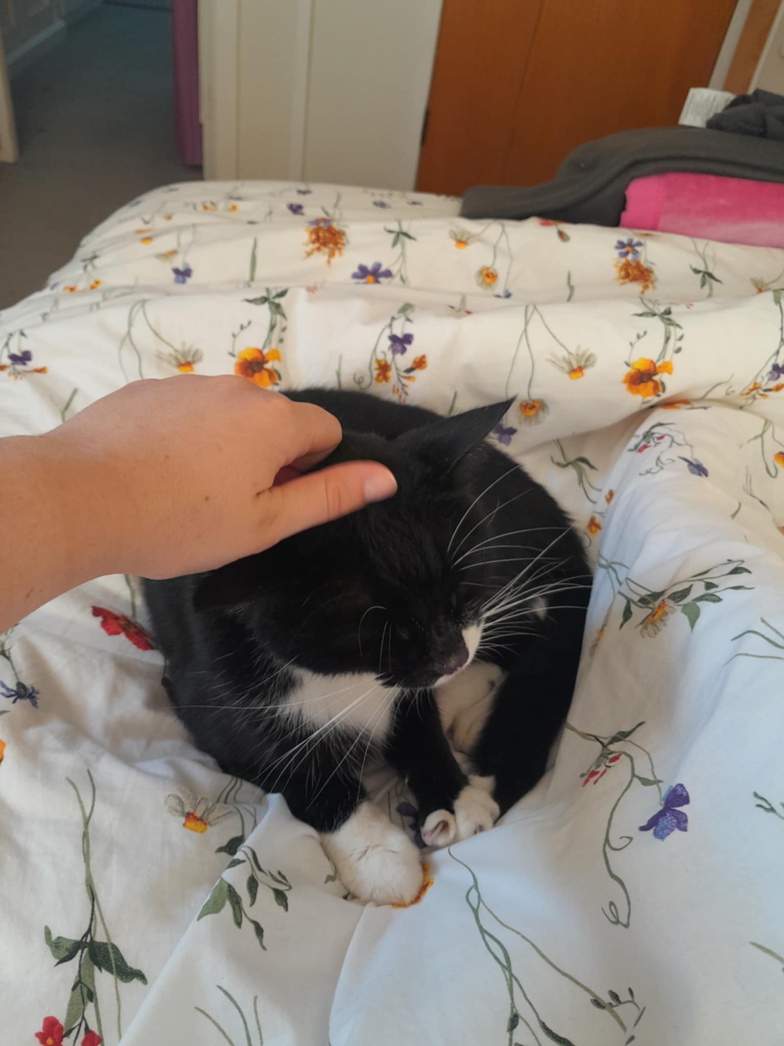 image-6