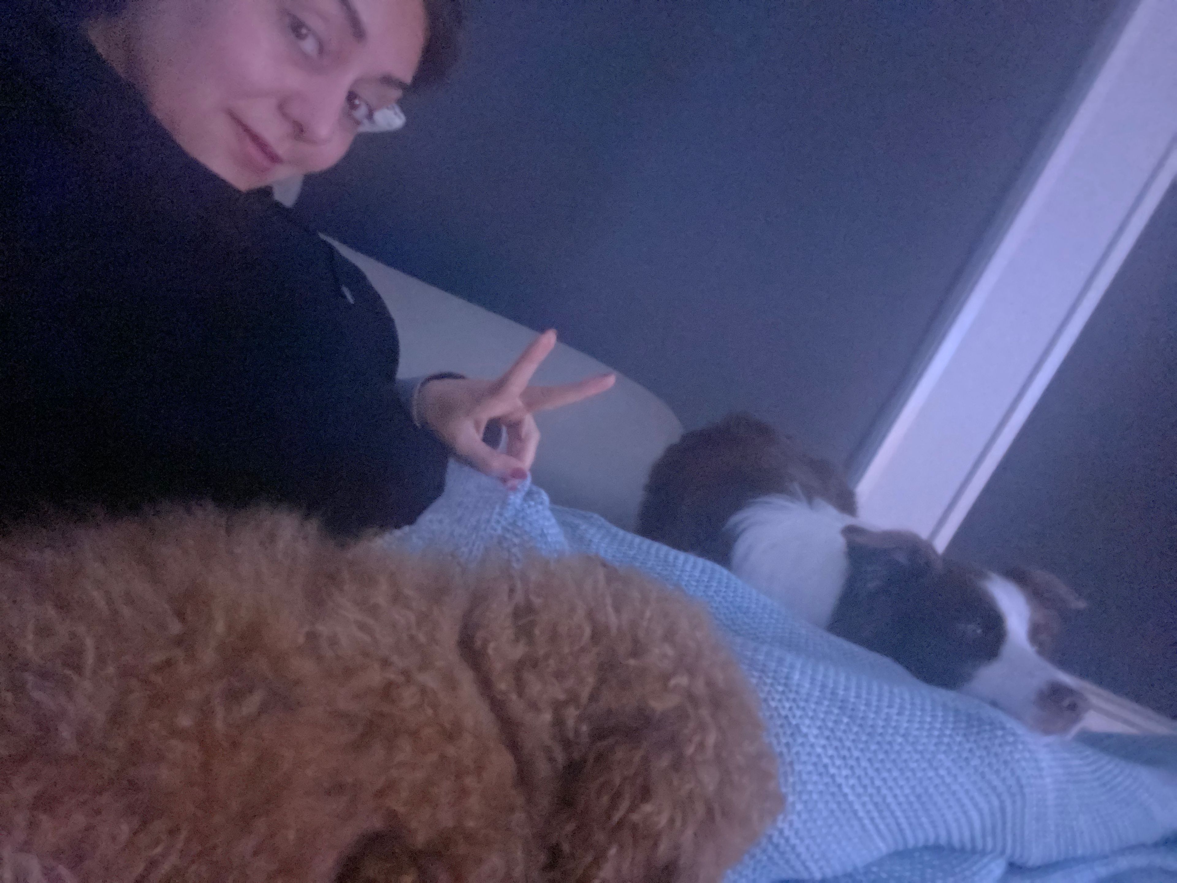 image-9