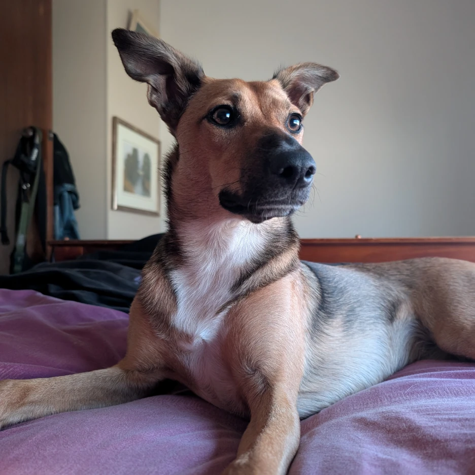 Nora