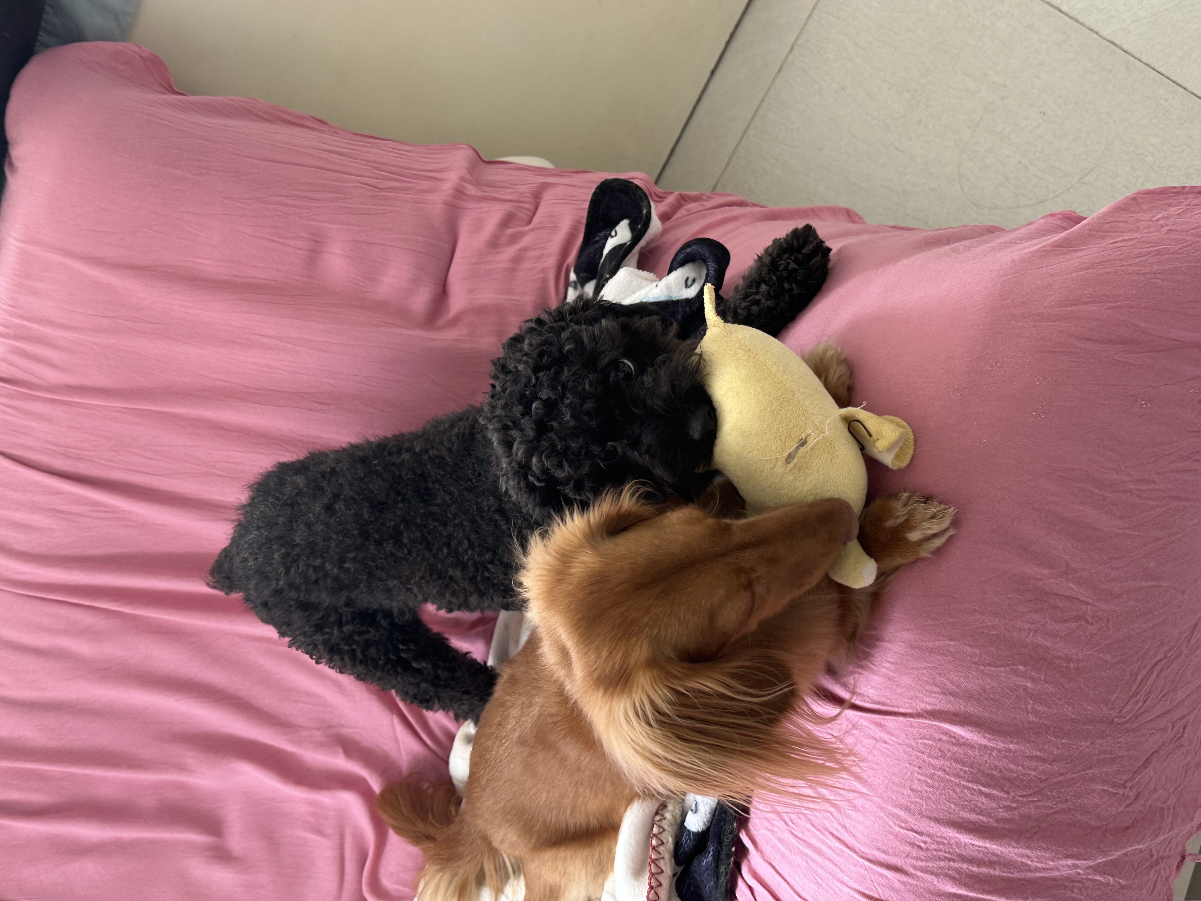 image-23