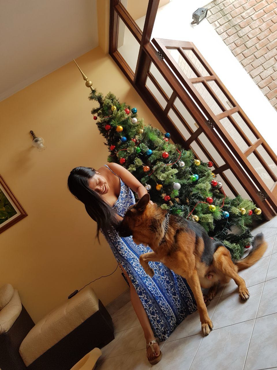 image-14