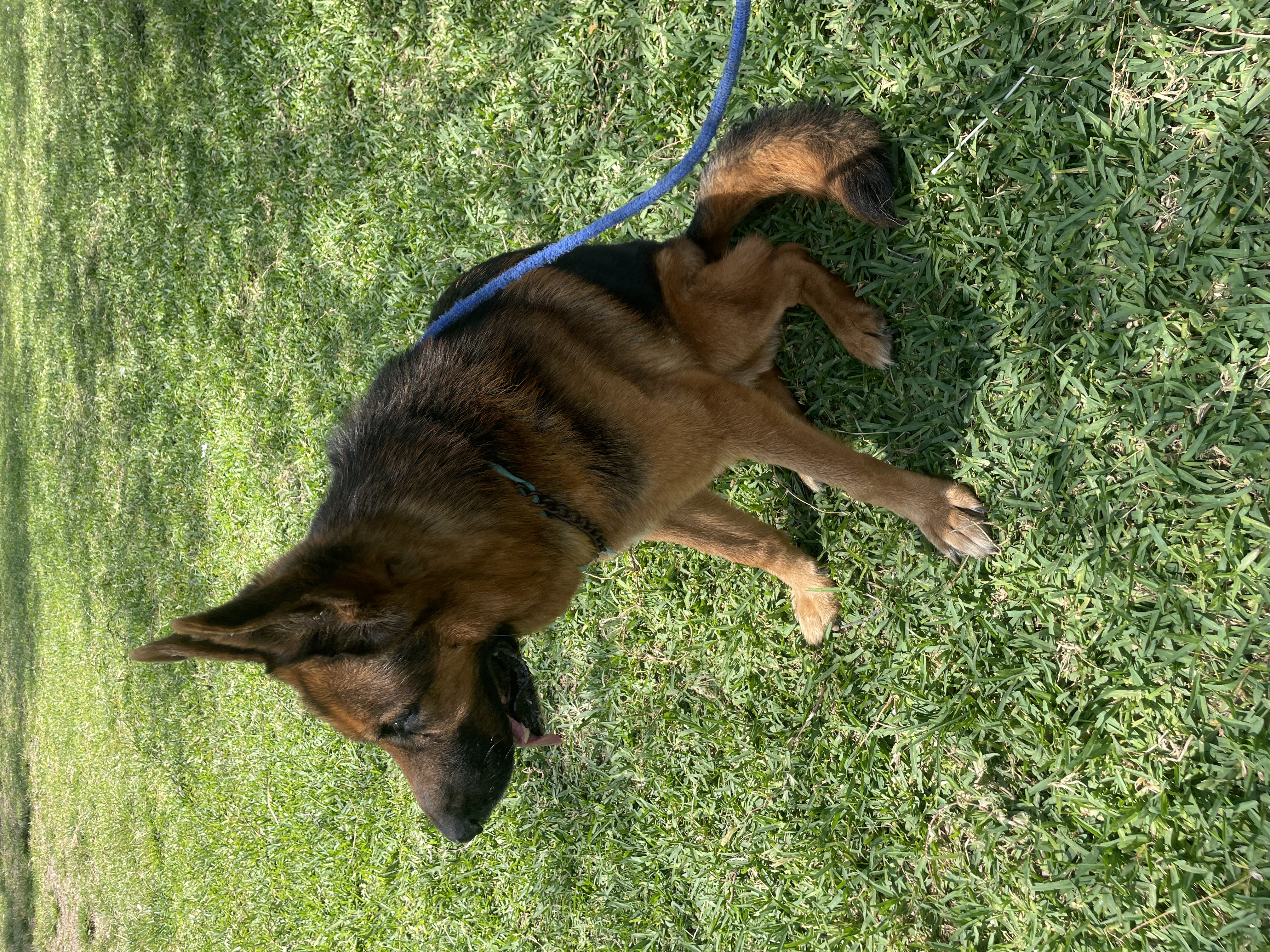 image-5