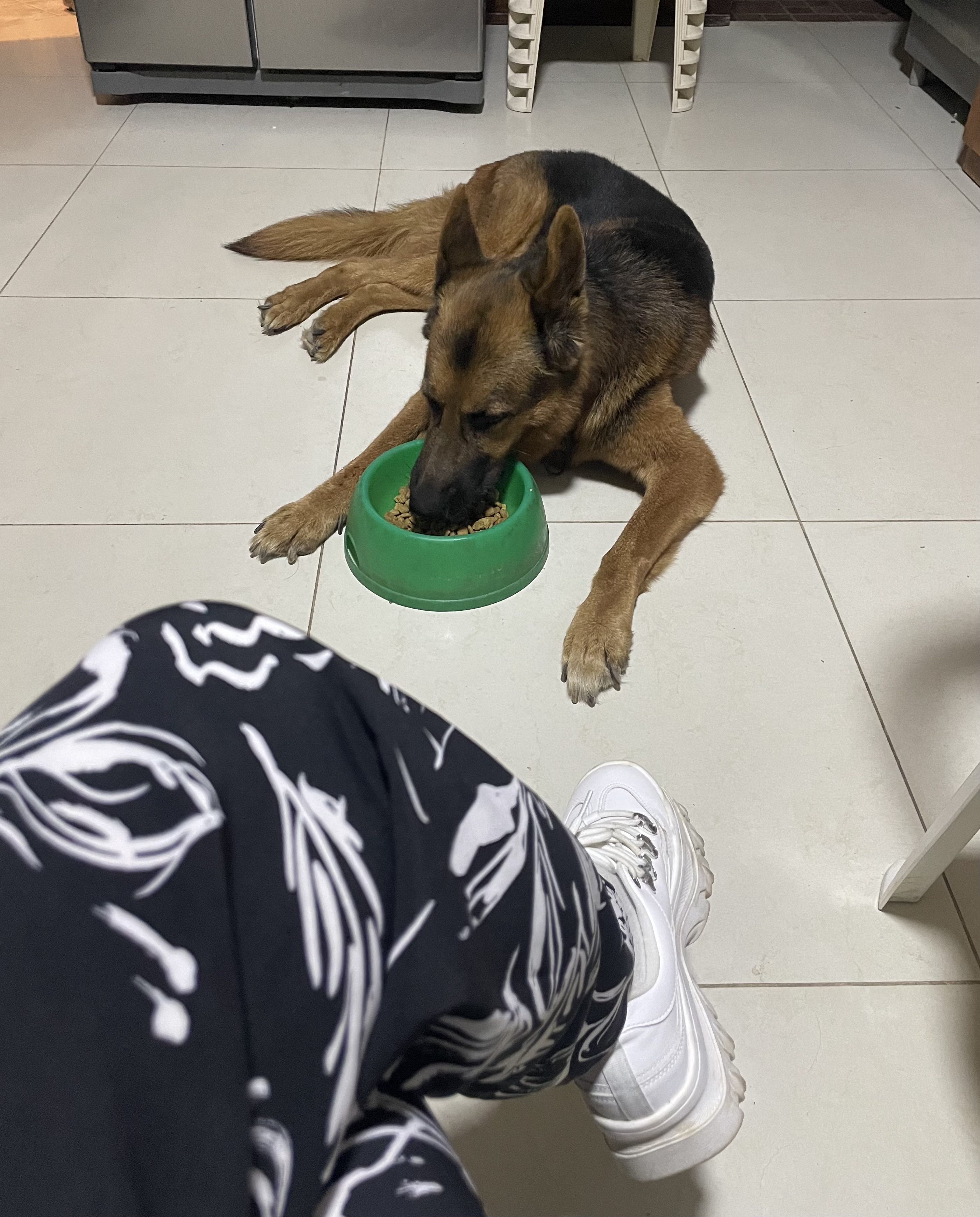 image-12