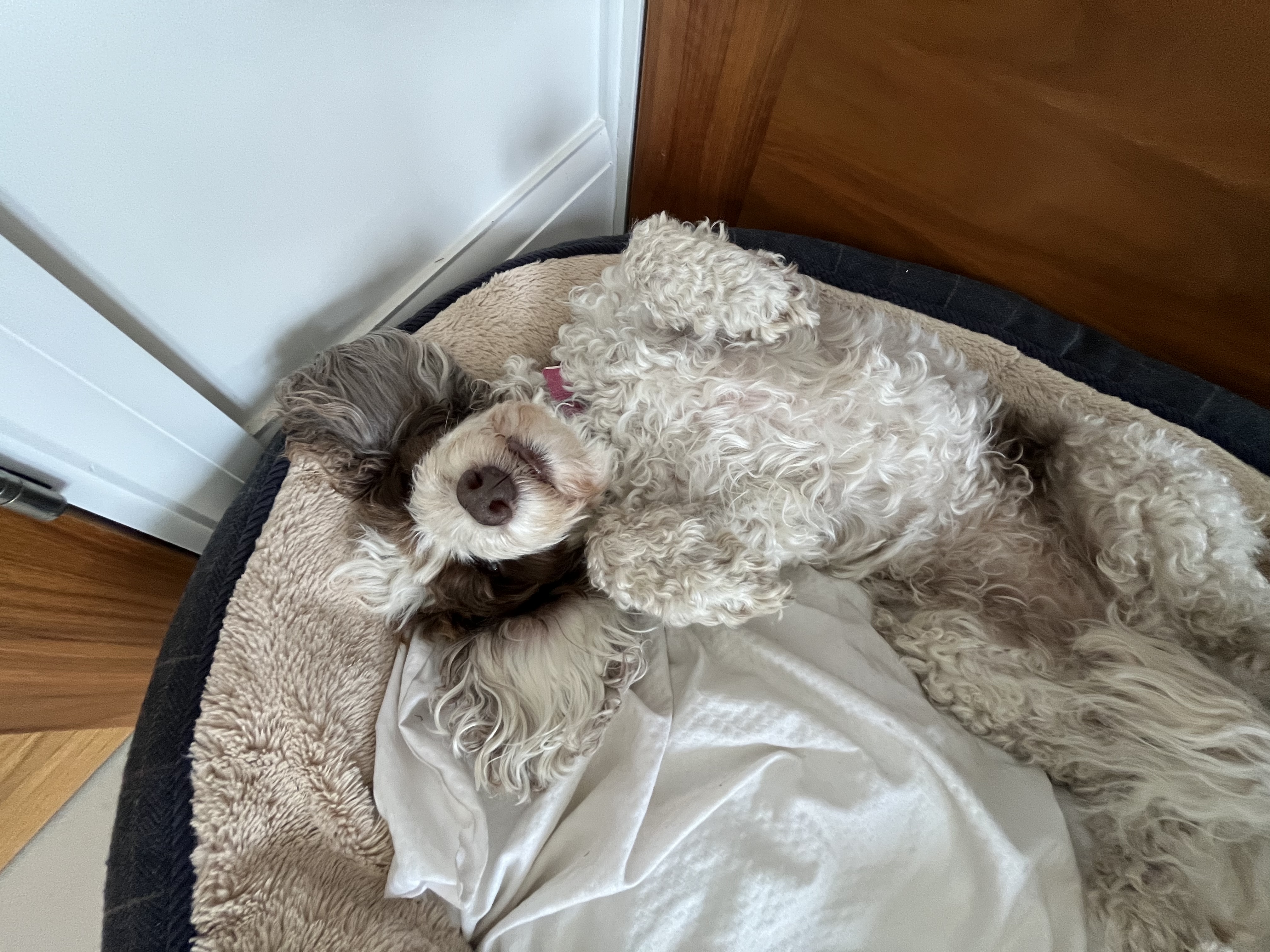 image-8