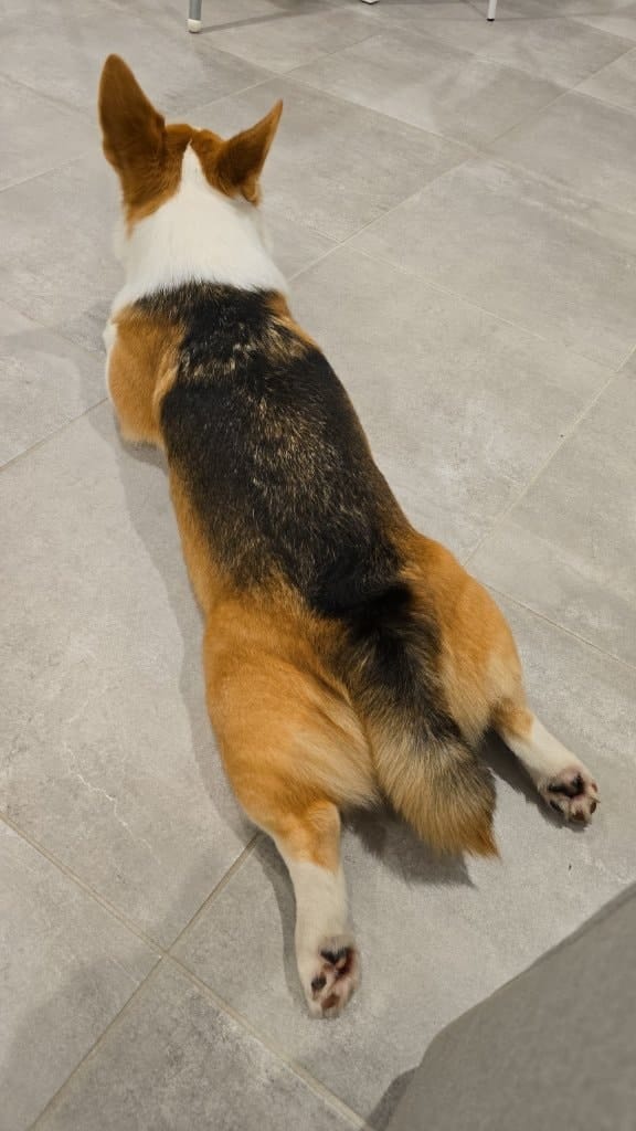 image-9