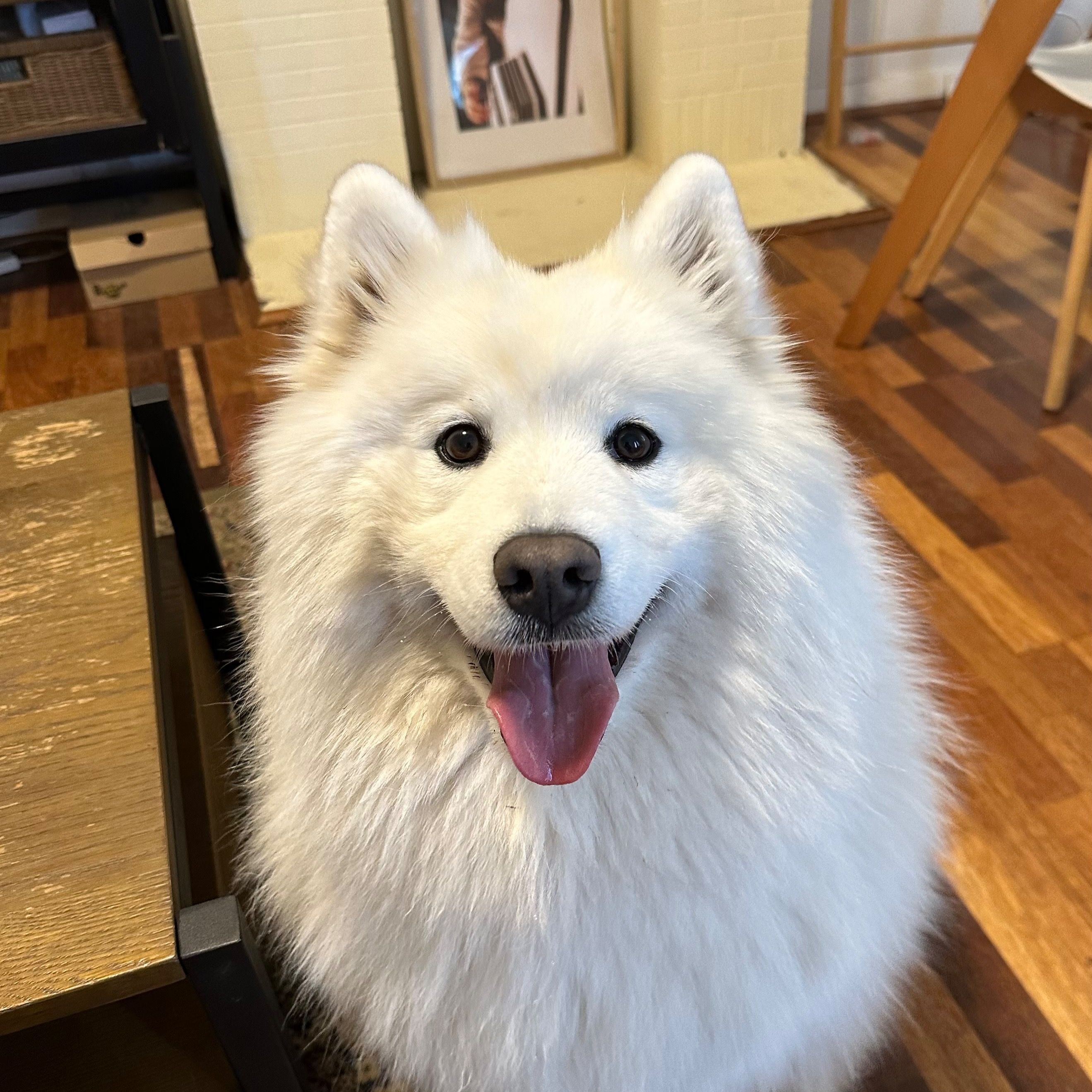 Kumo