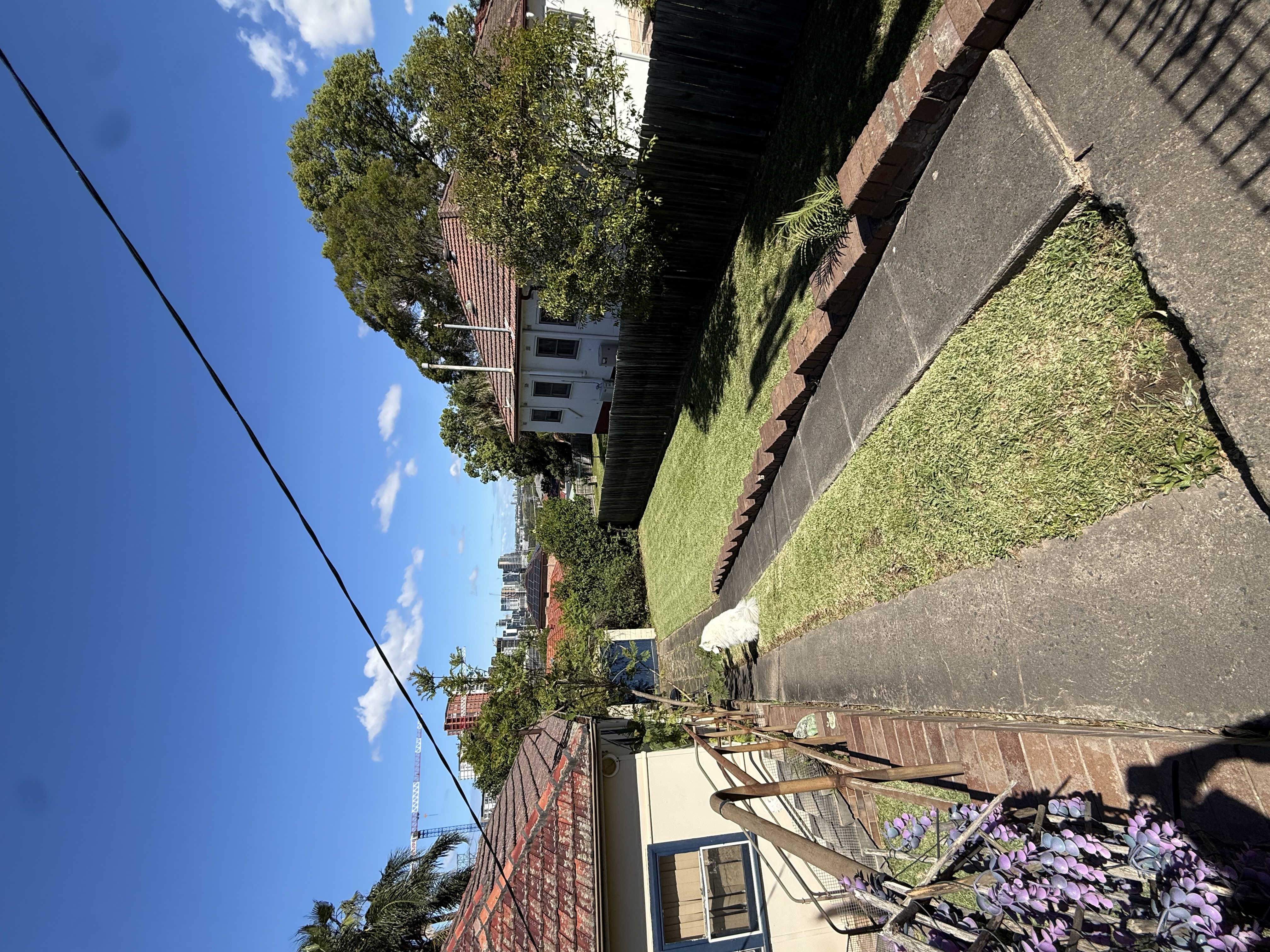 image-14