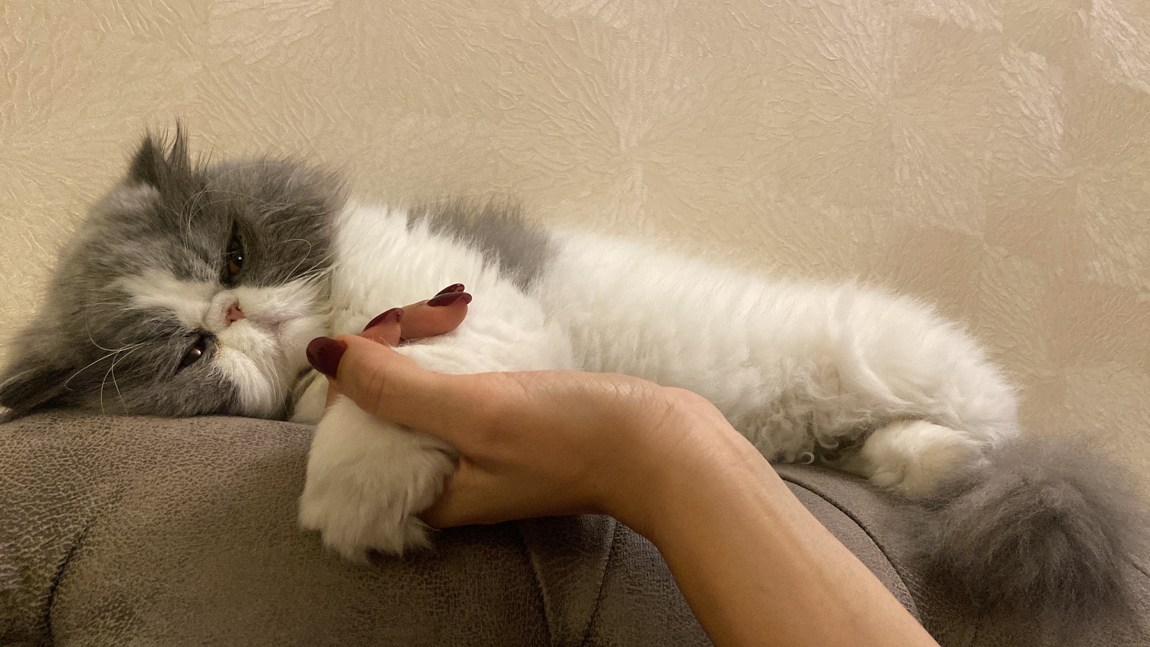 image-6