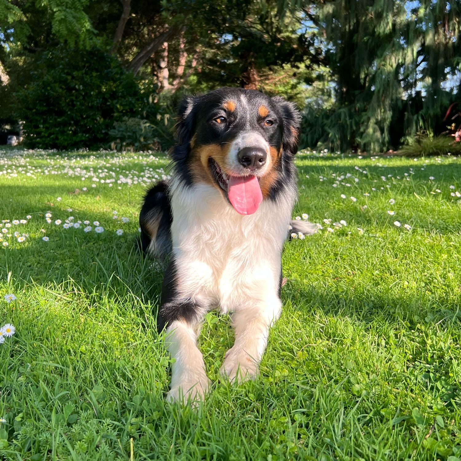 Doug