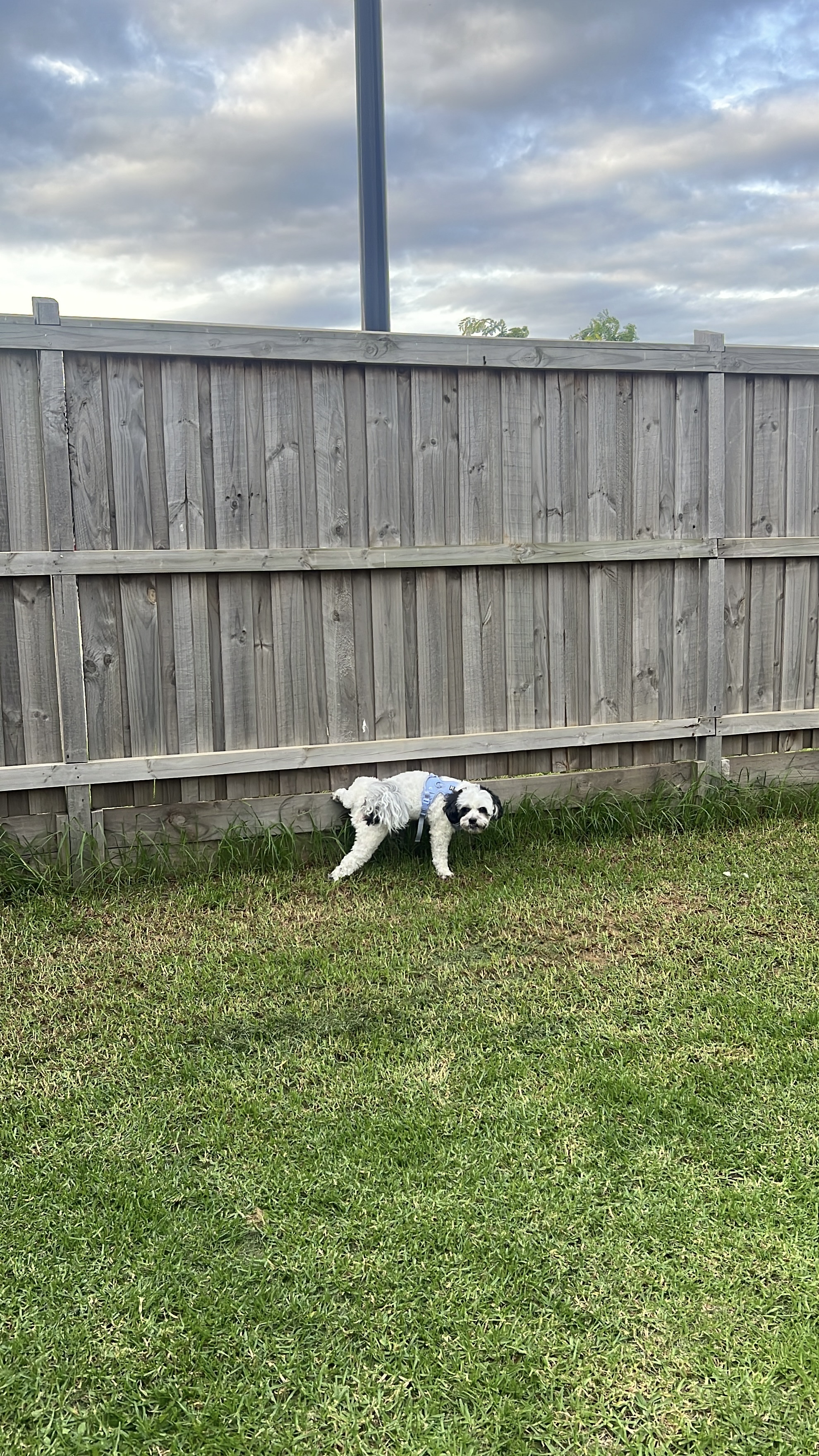 image-14