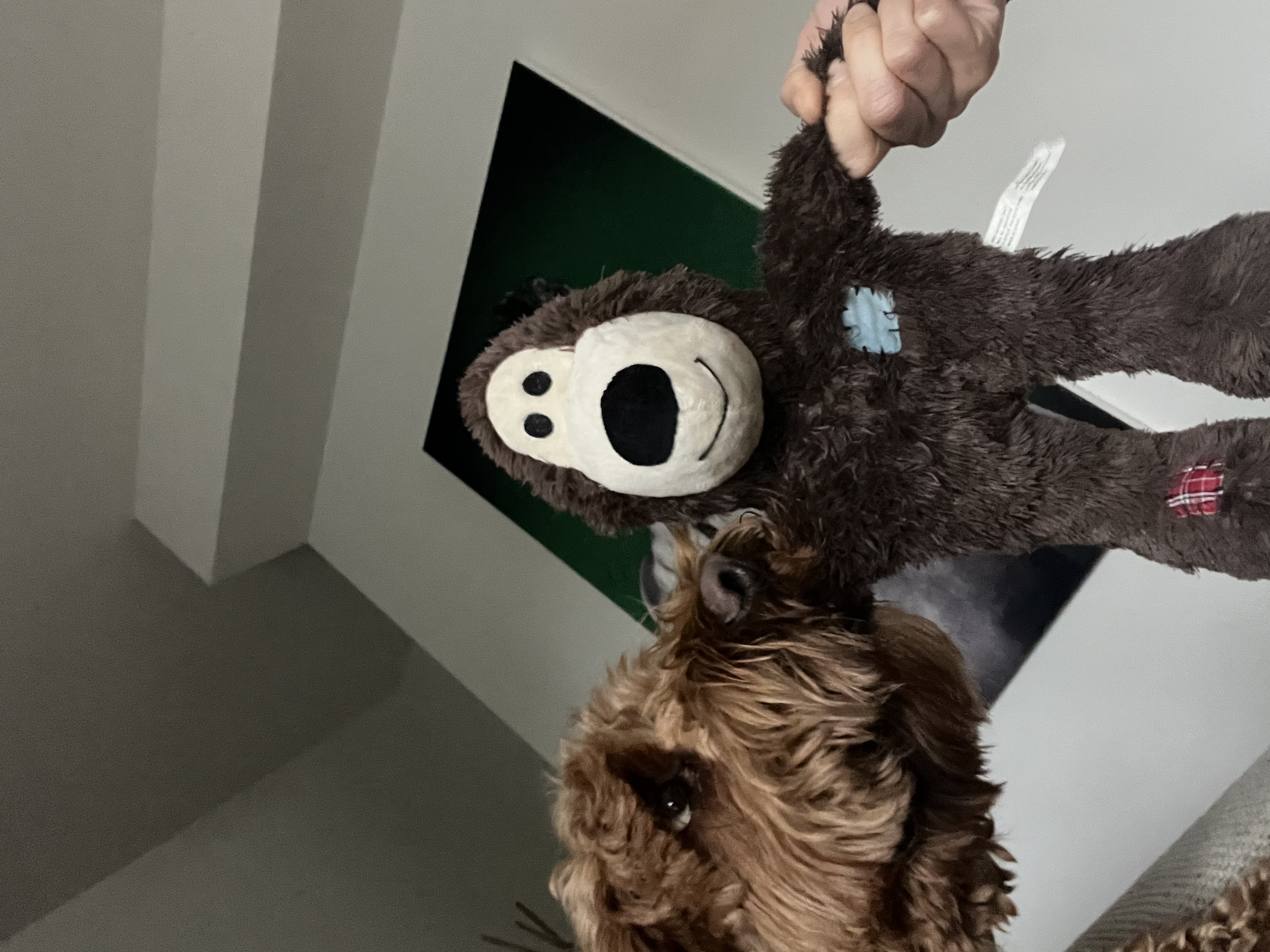 image-1