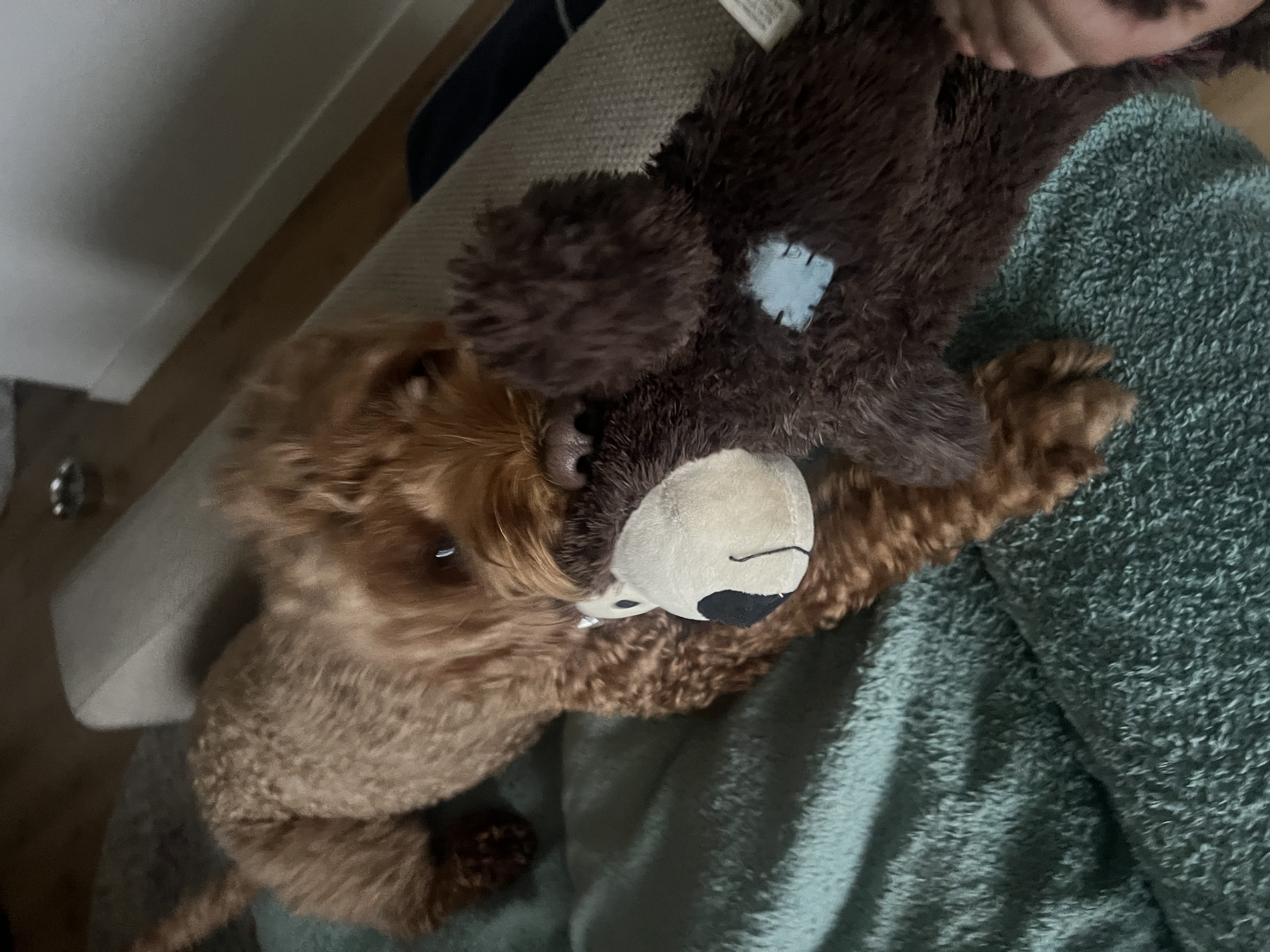 image-4