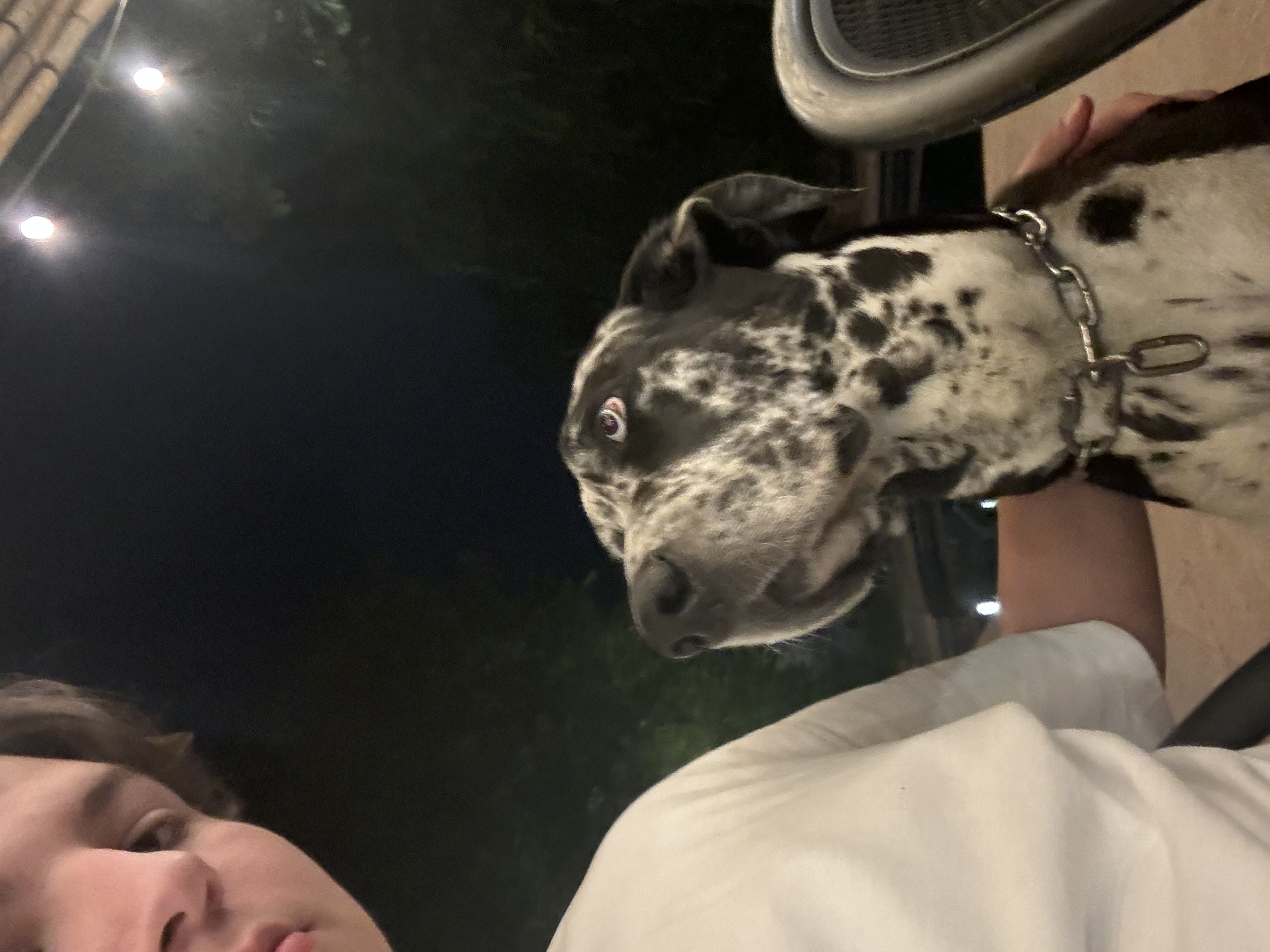 image-11