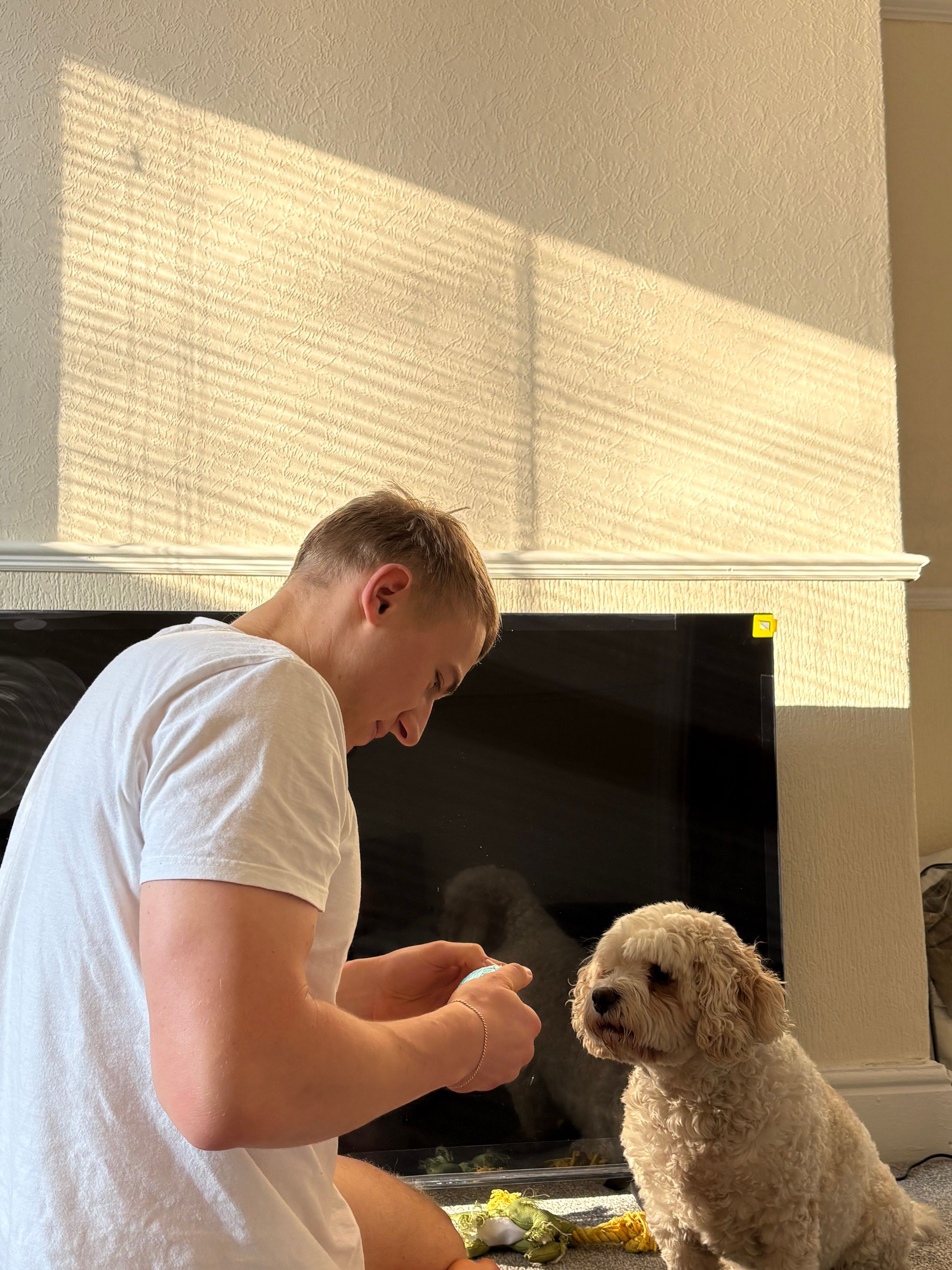 image-2