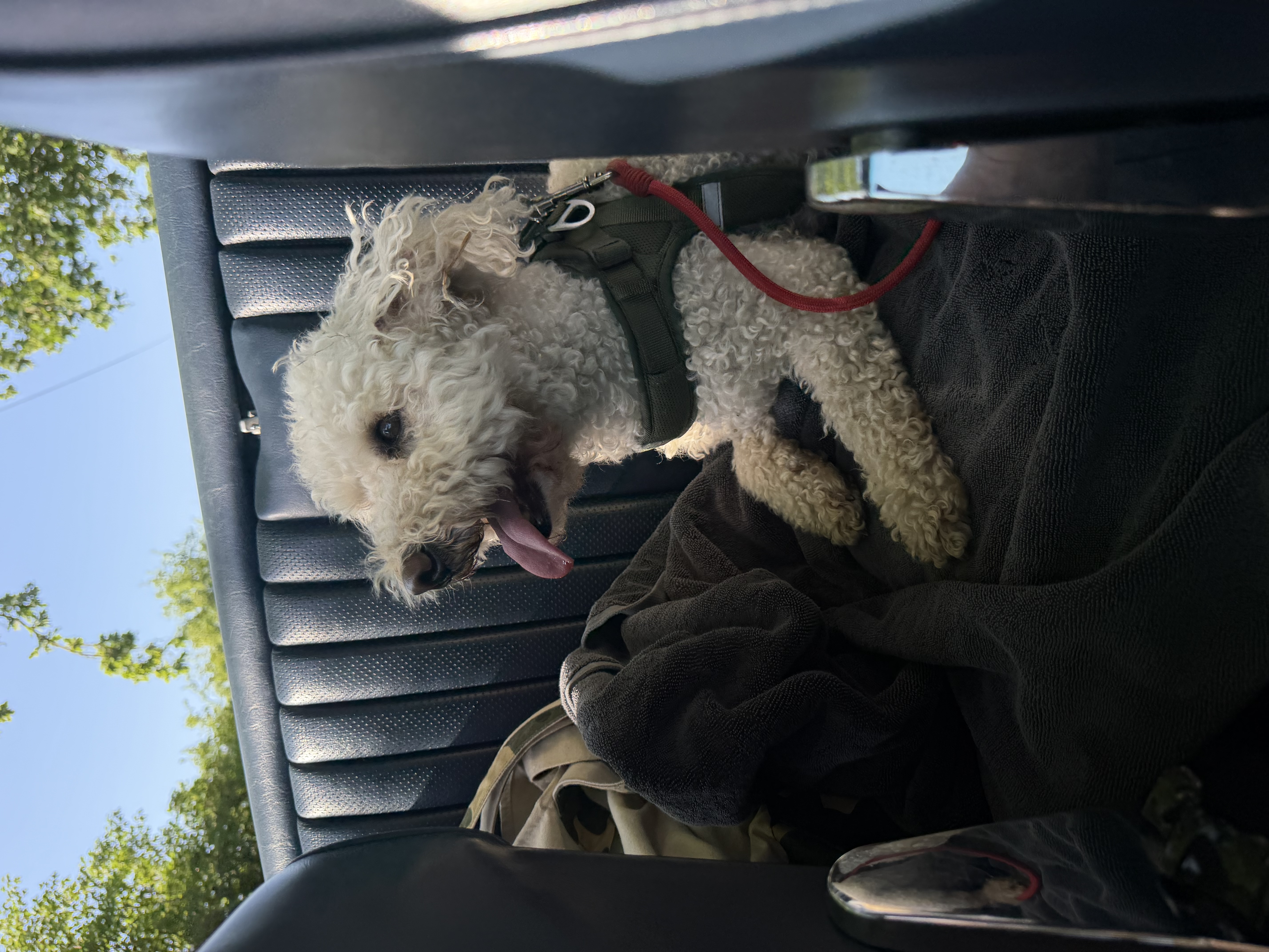 image-8