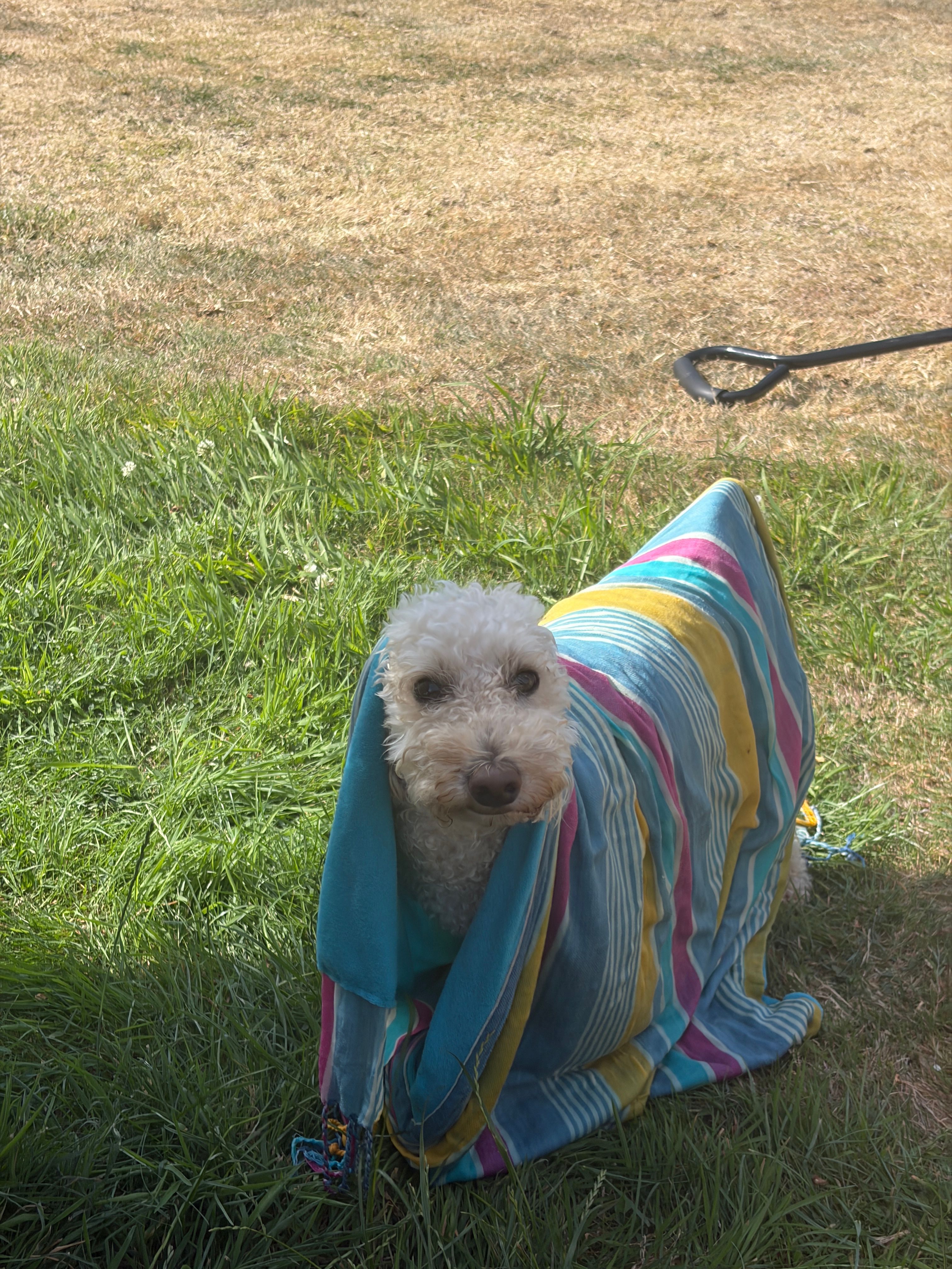 image-9