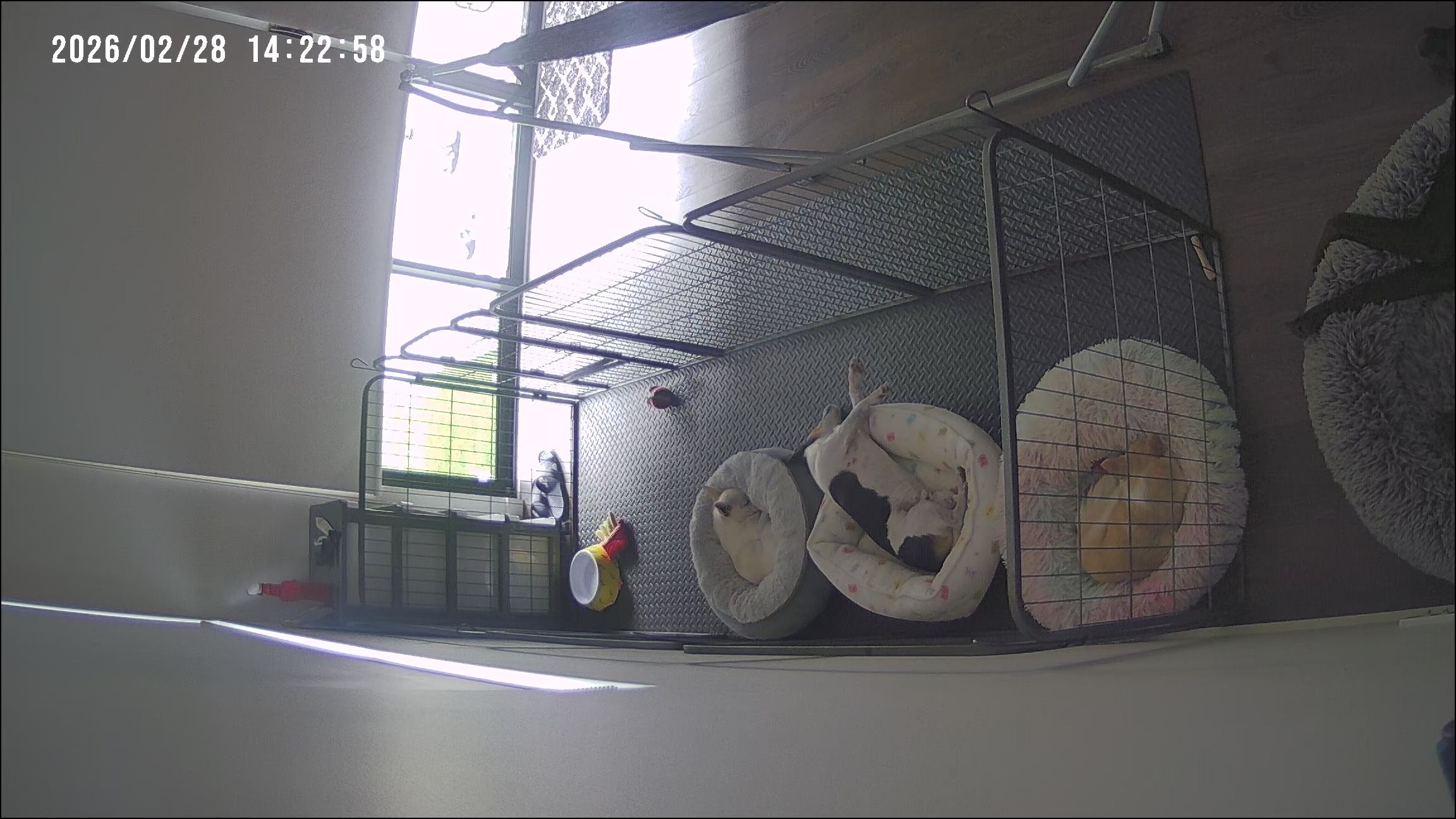 image-6