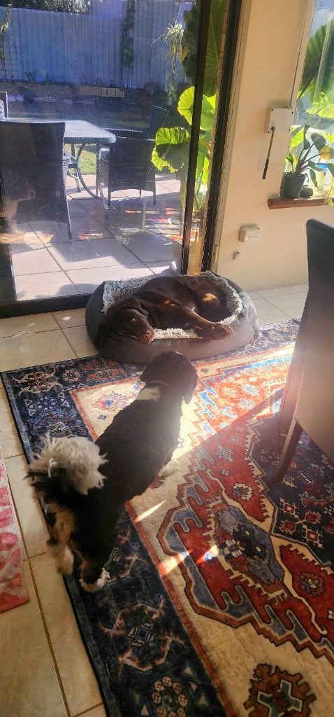 image-12