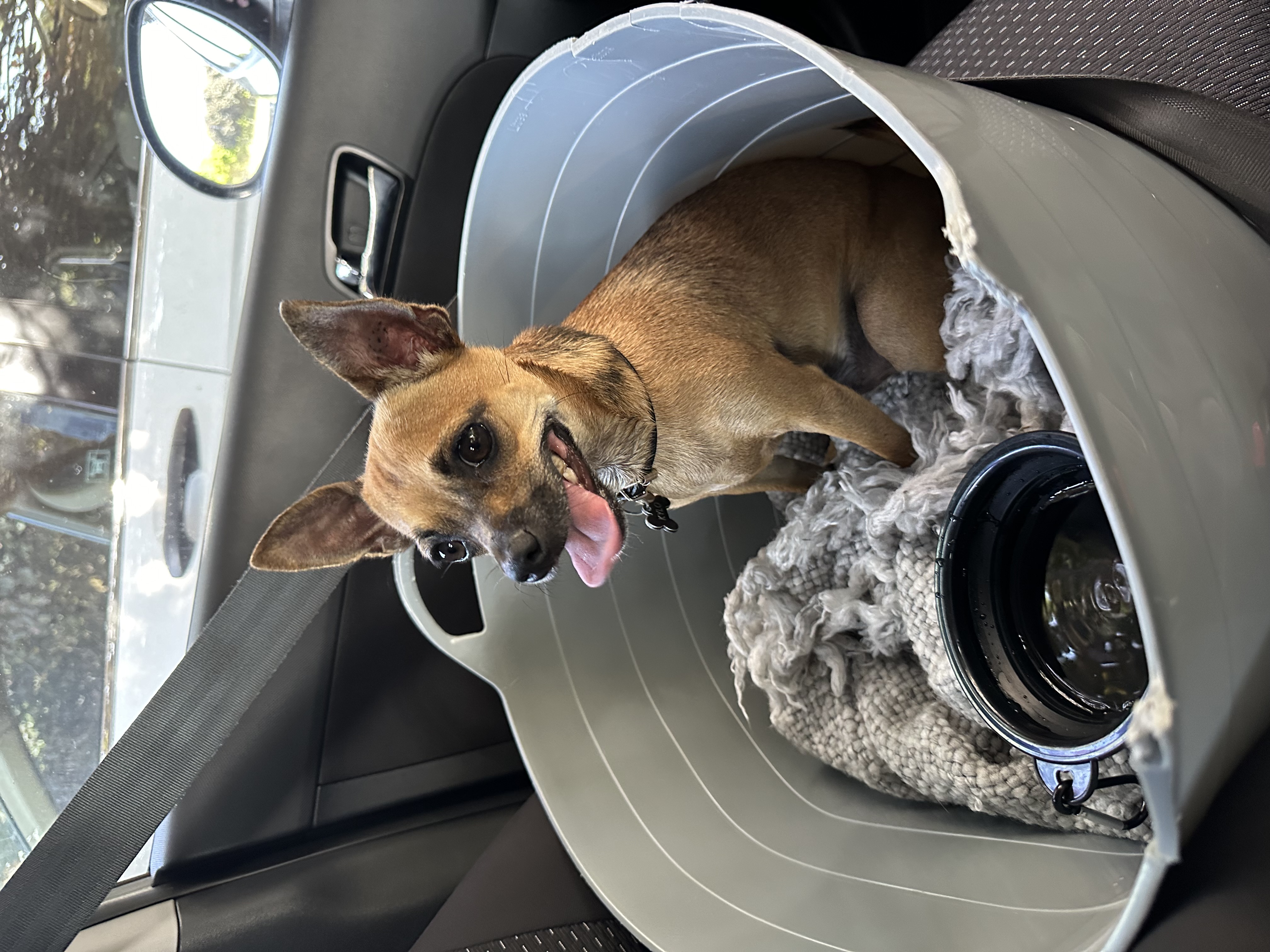 image-5