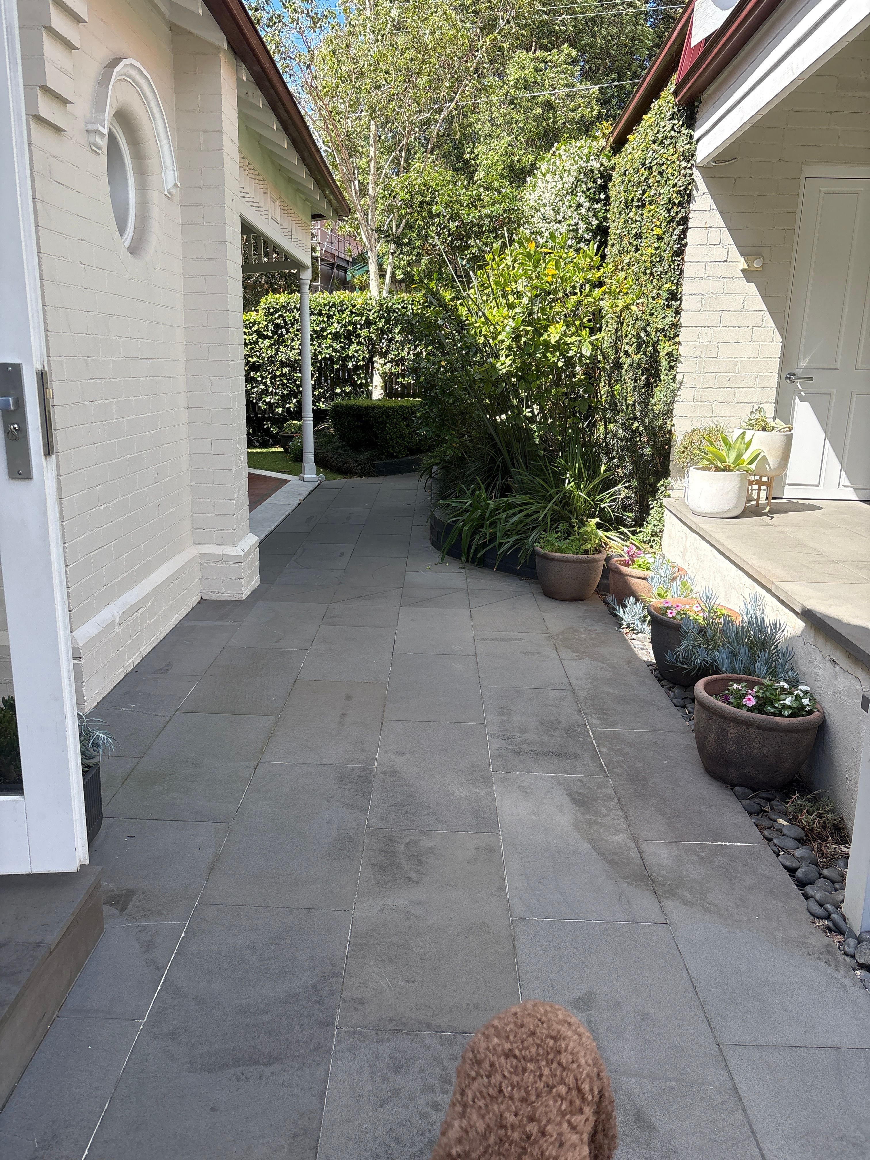 image-19