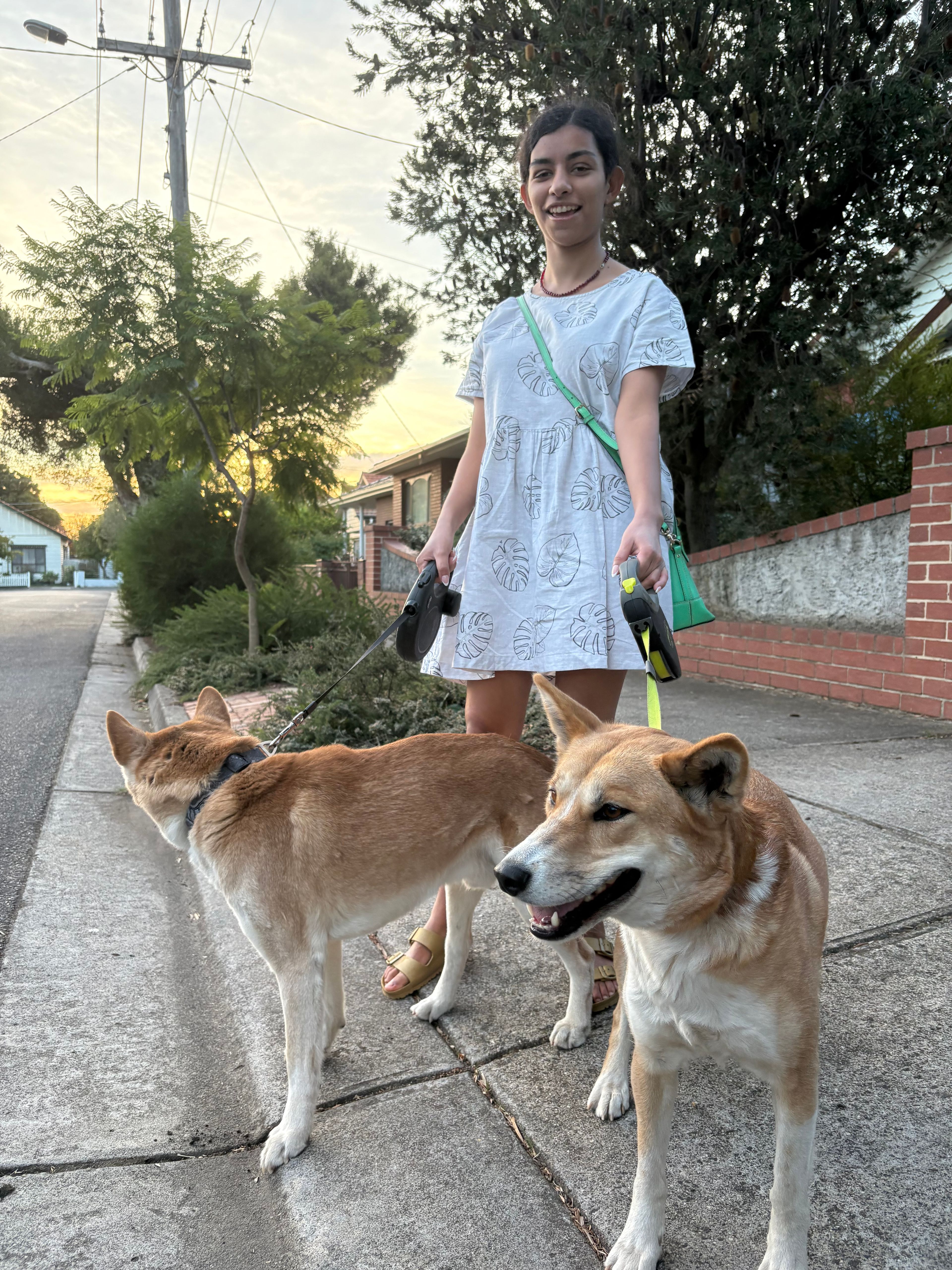 image-11
