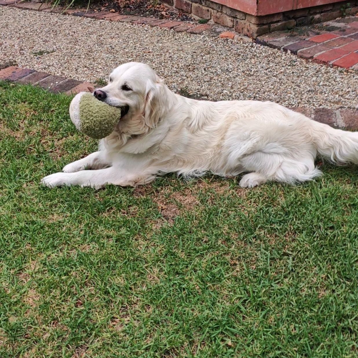 Luca