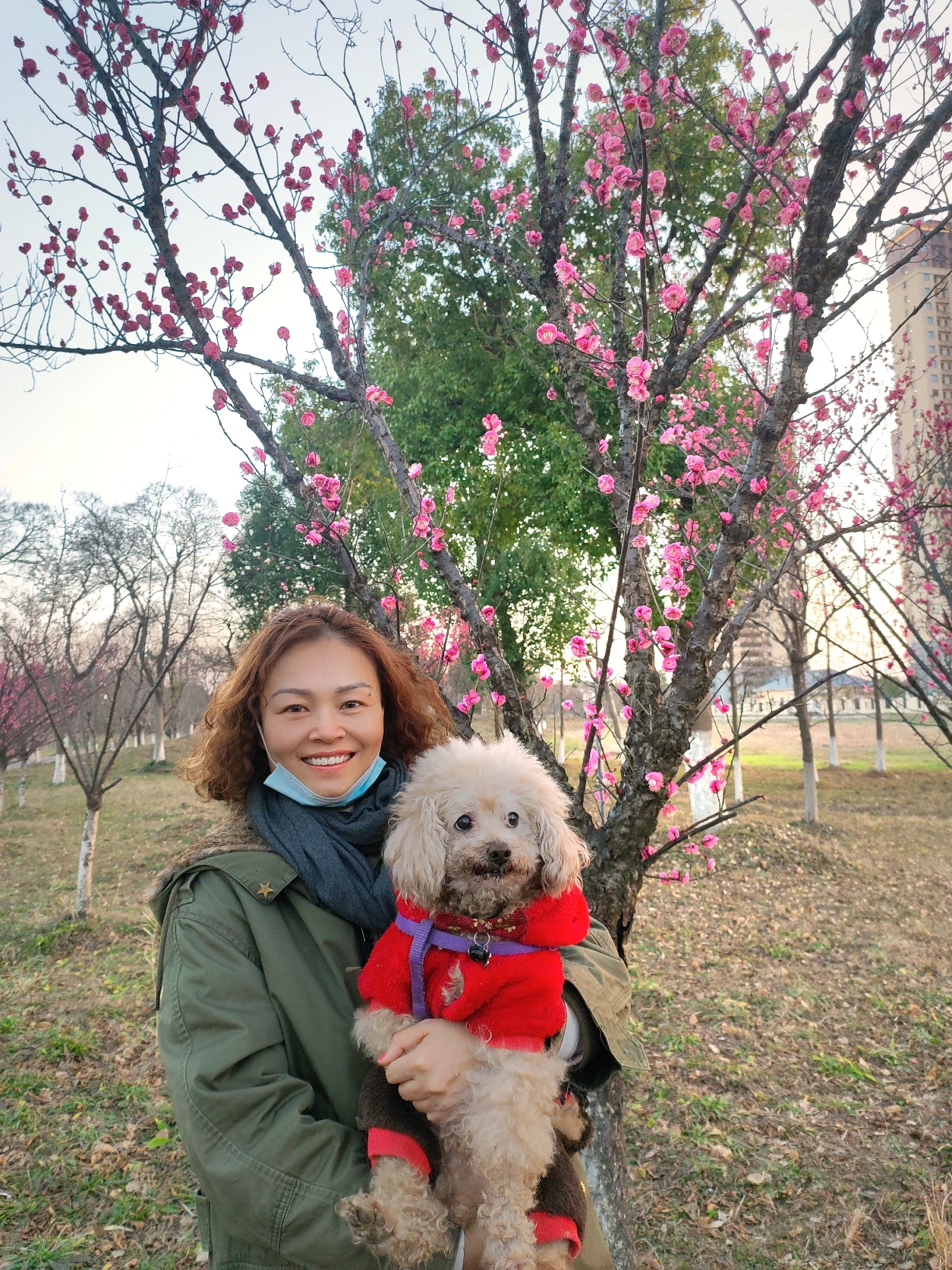 image-8