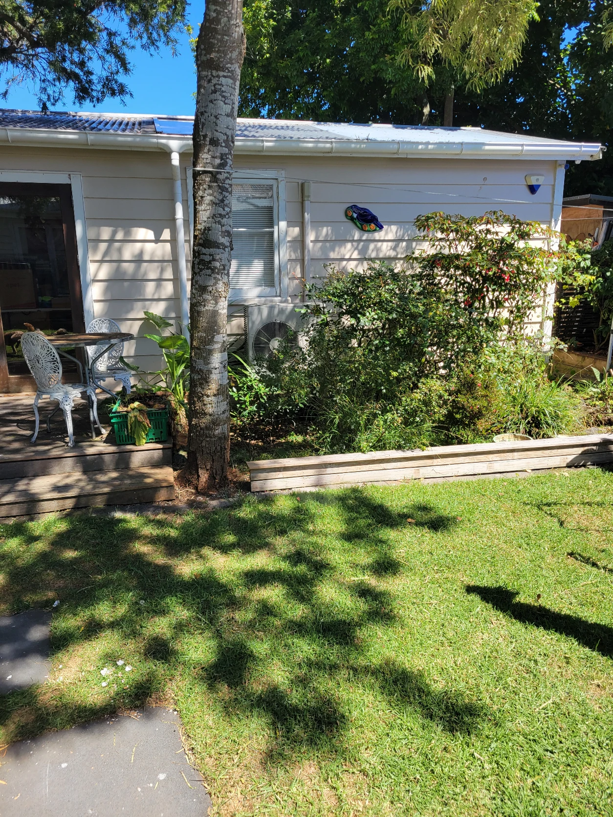 image-19