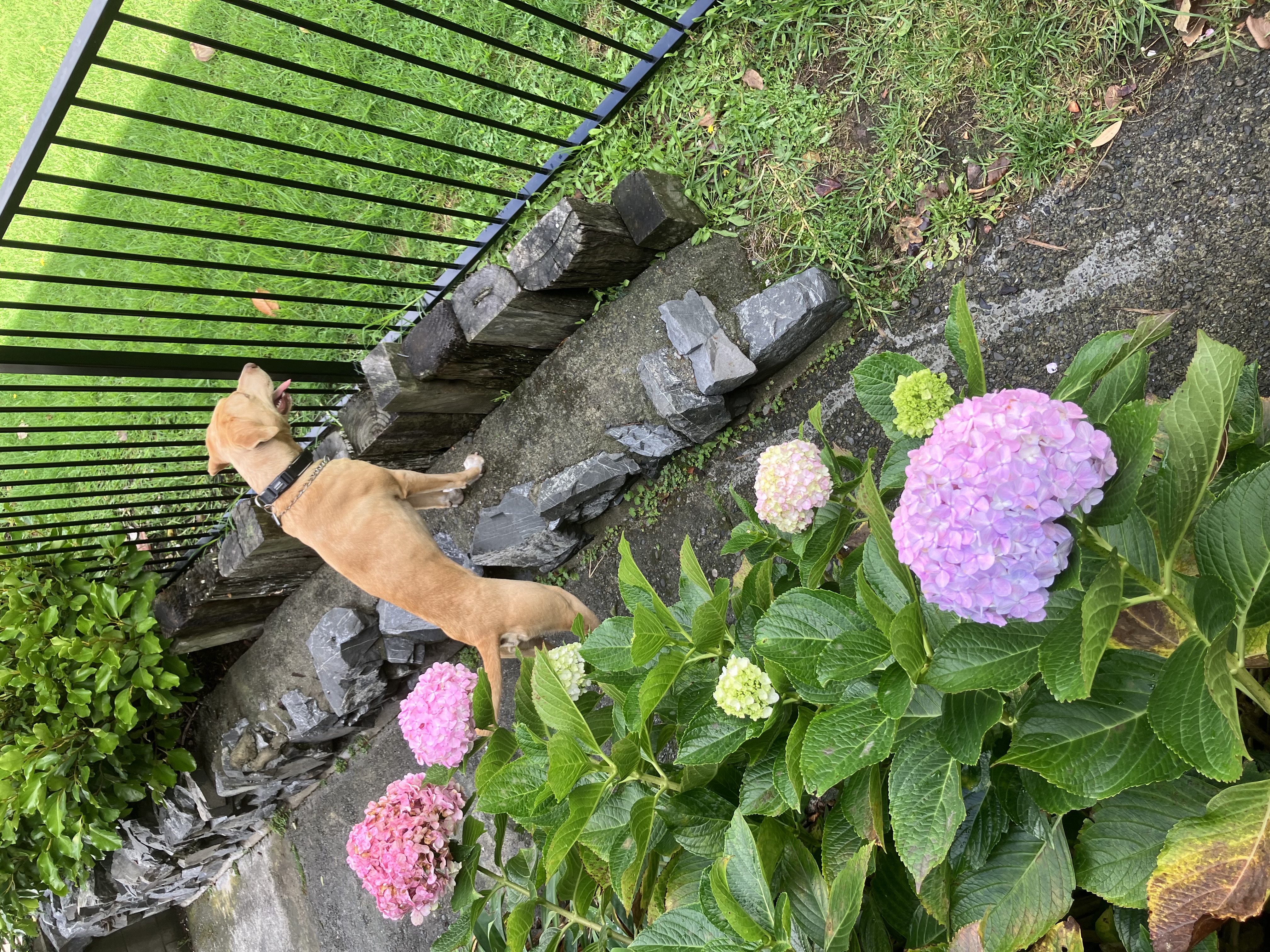 image-17