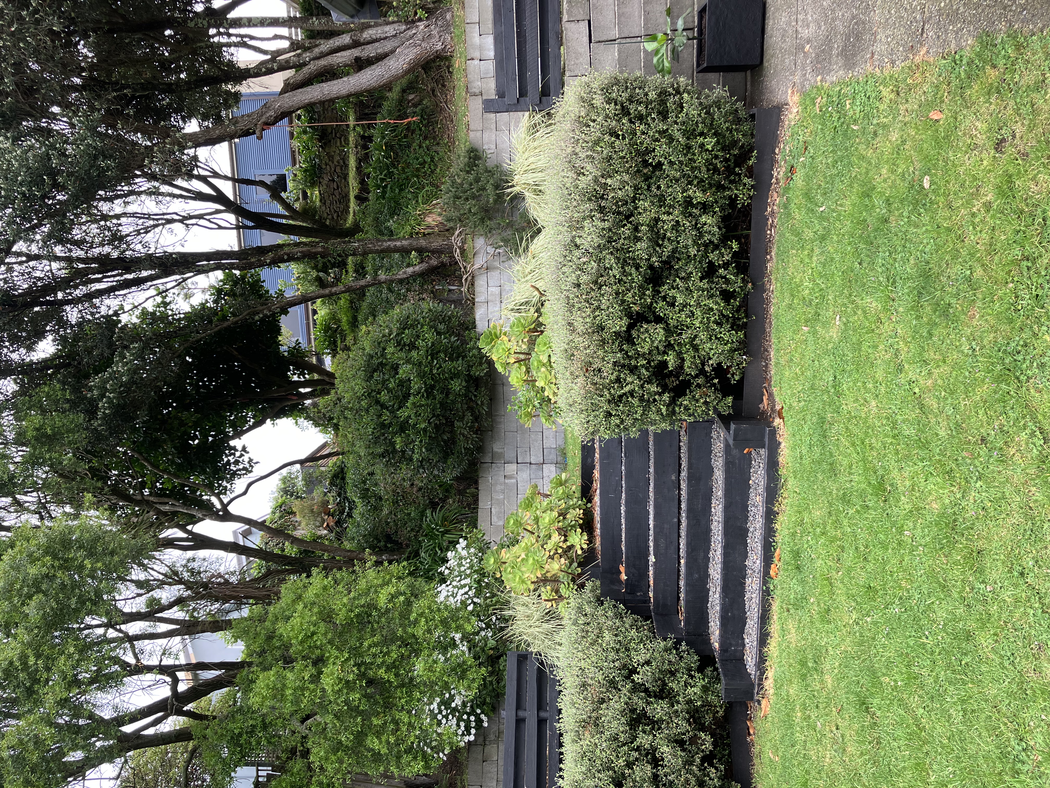 image-18
