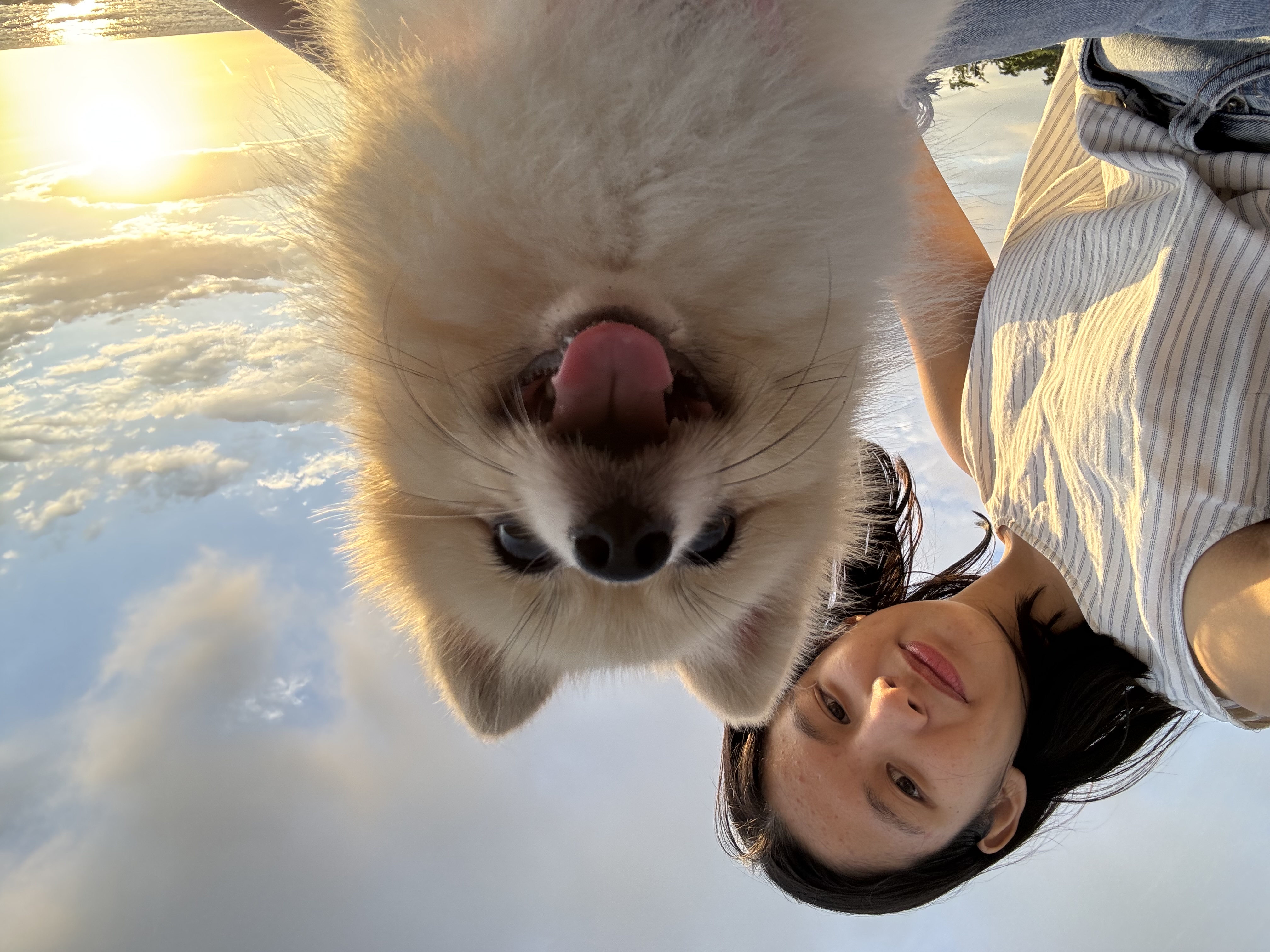 image-6